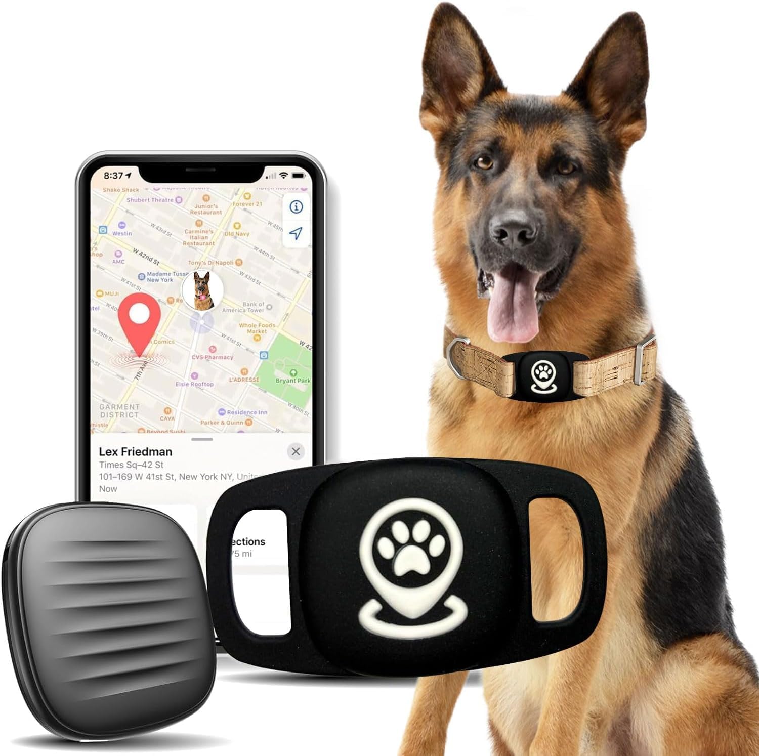 Lnicez collare localizzatore per cani senza abbonamento: ora su Amazon con il 28% di sconto