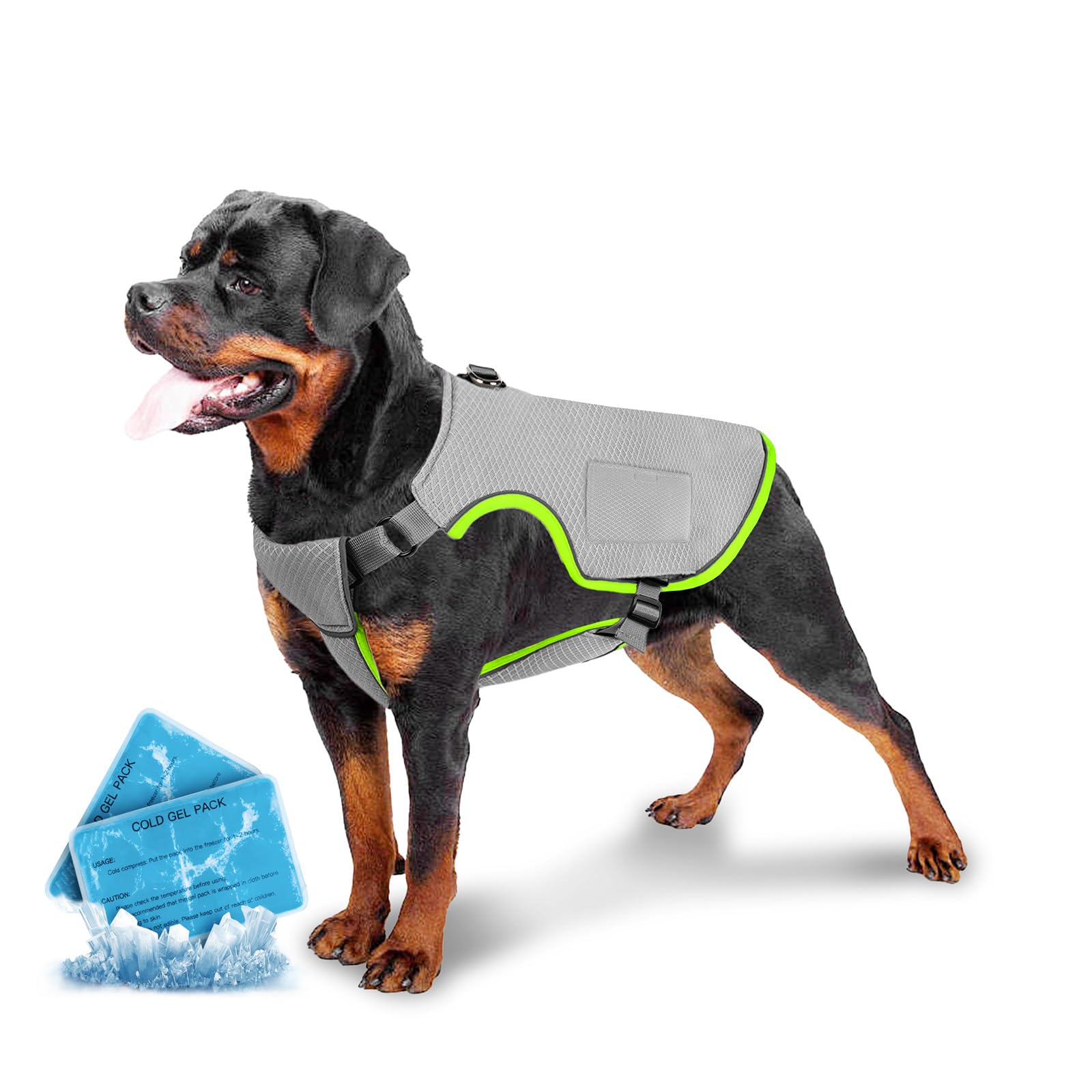 Gilet rinfrescante per cani XXL in super sconto su Amazon: refrigerio immediato con il 24% off