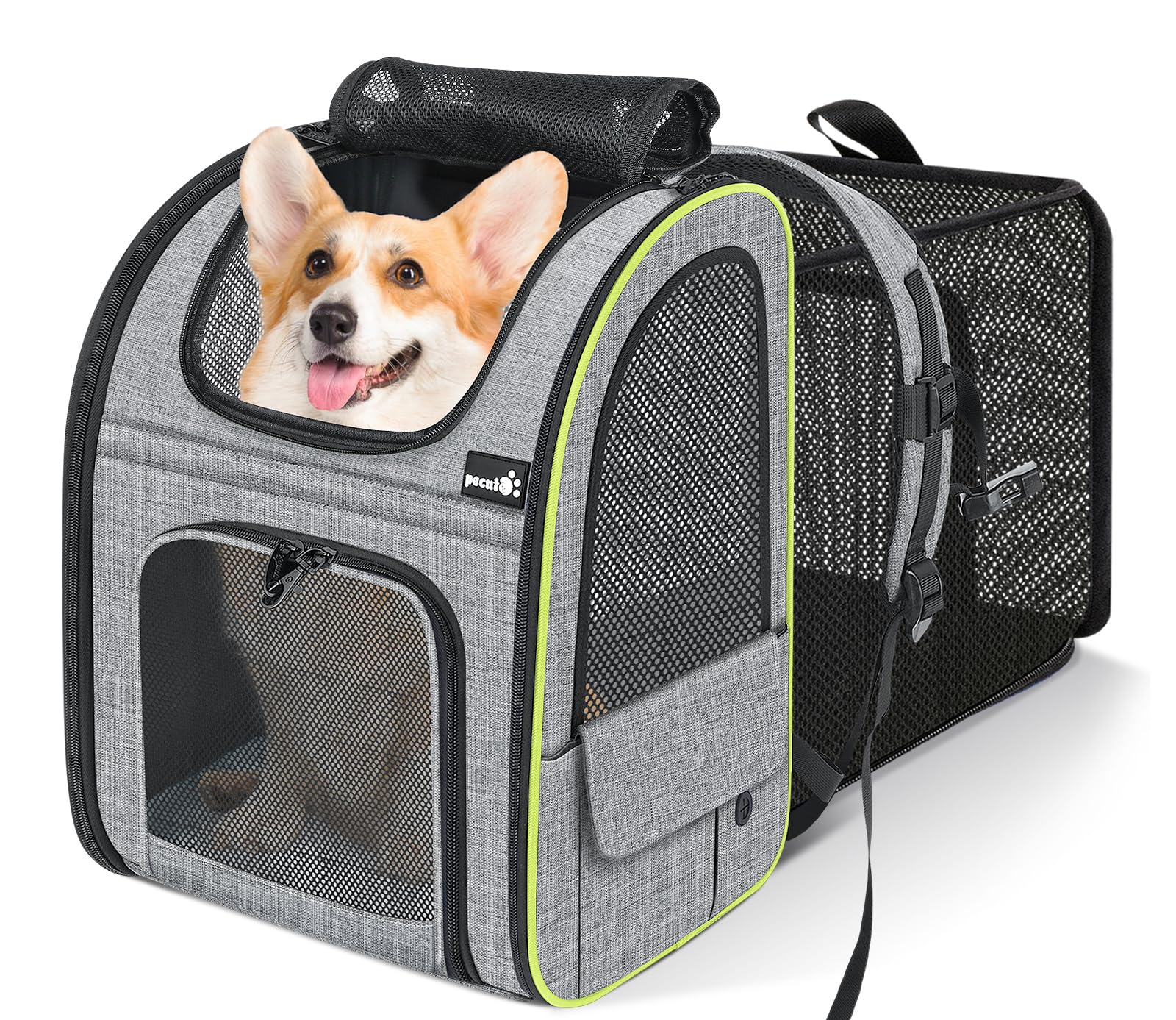 Pecute zaino estensibile per cani e gatti in super offerta Amazon: trasportino comodo e versatile per ogni viaggio