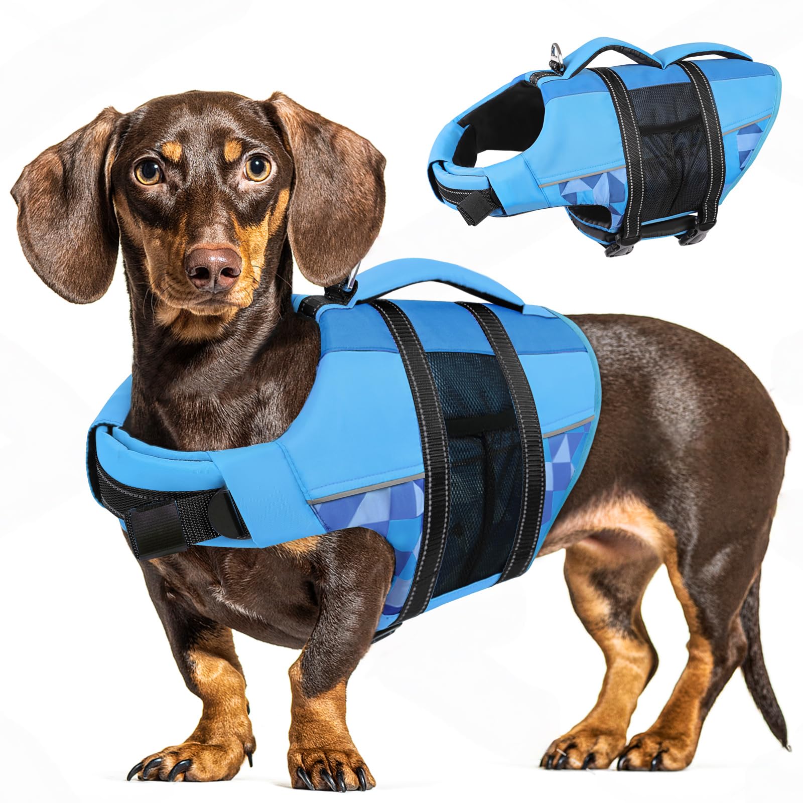 CITÉTOILE giubbotto di salvataggio per cani in mega offerta Amazon: sicurezza in acqua a -39%