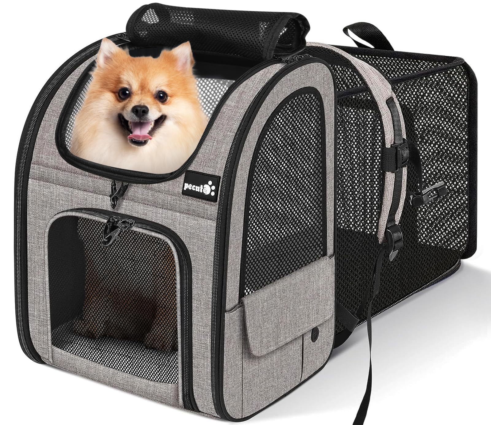Pecute zaino porta cani e gatti grande in super offerta Amazon: trasportino estensibile (-28%) per ogni viaggio