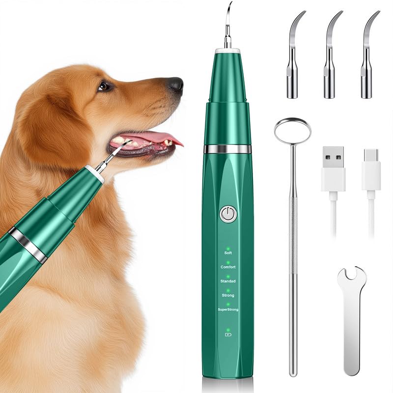 Love begans kit di pulizia denti ultrasuoni per cani e gatti: igiene e benessere a portata di click su Amazon