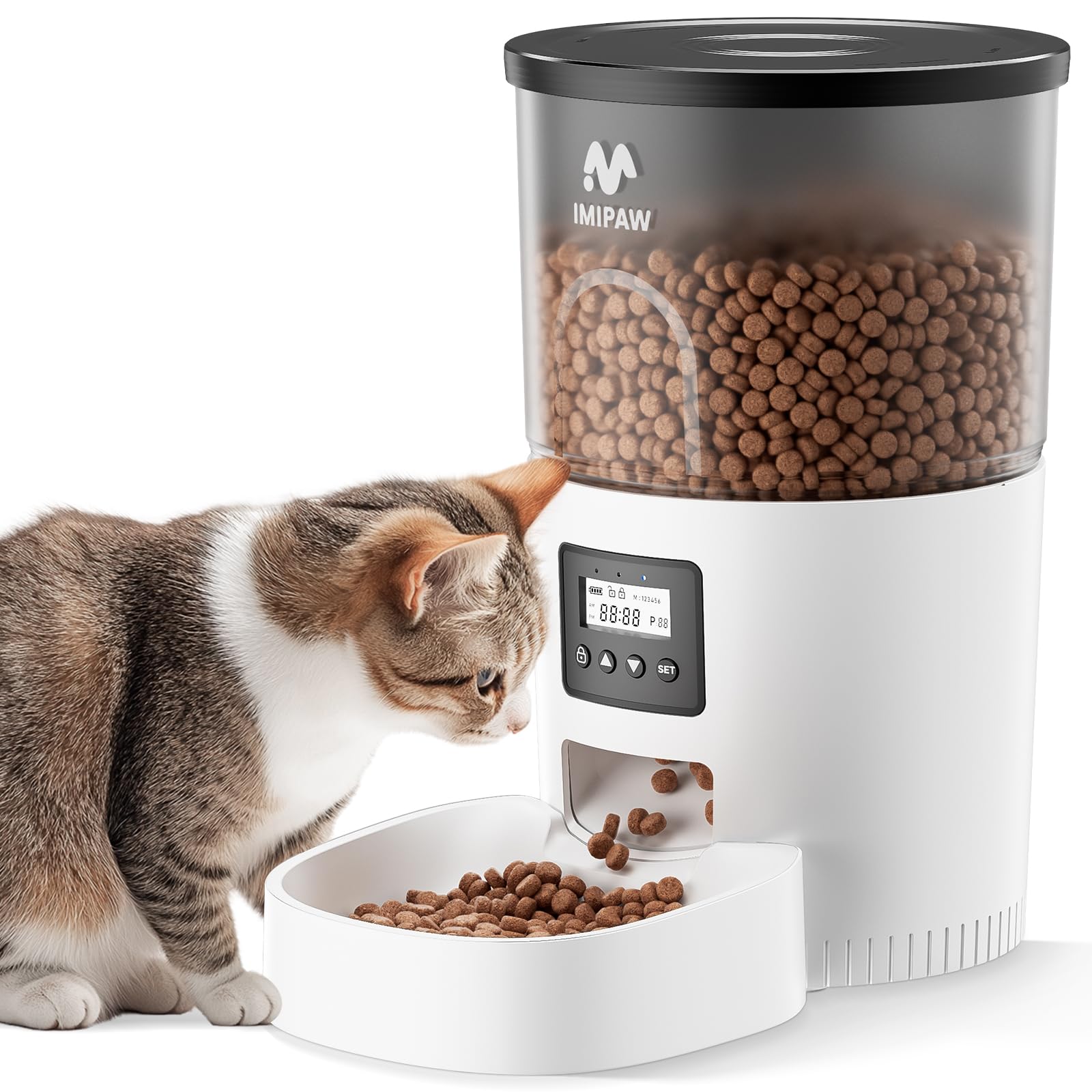 IMIPAW distributore automatico cibo gatti 3L, timer programmabile a -34% su Amazon