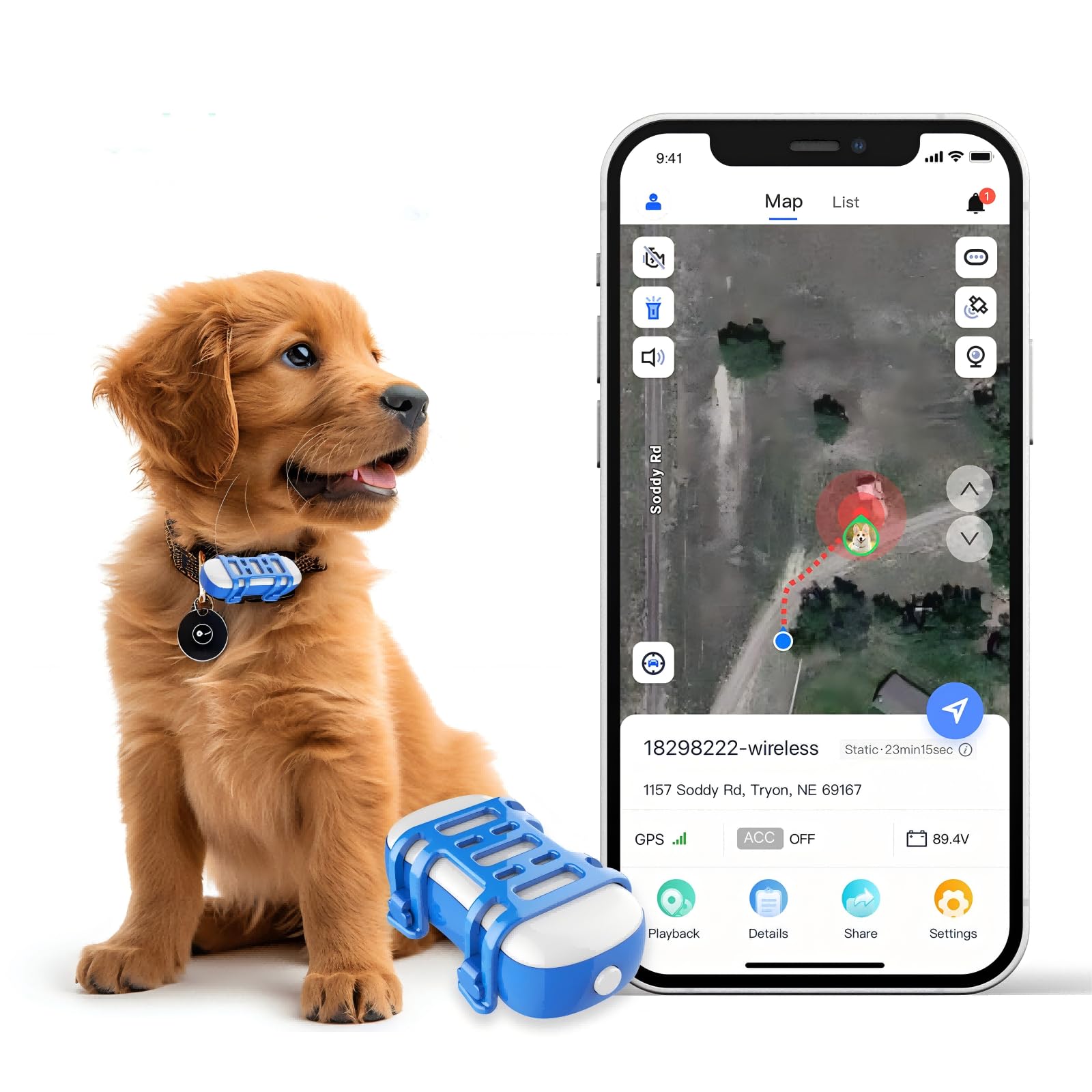 GPS per cani gatto scontato su Amazon: localizzatore impermeabile in offerta al 42%