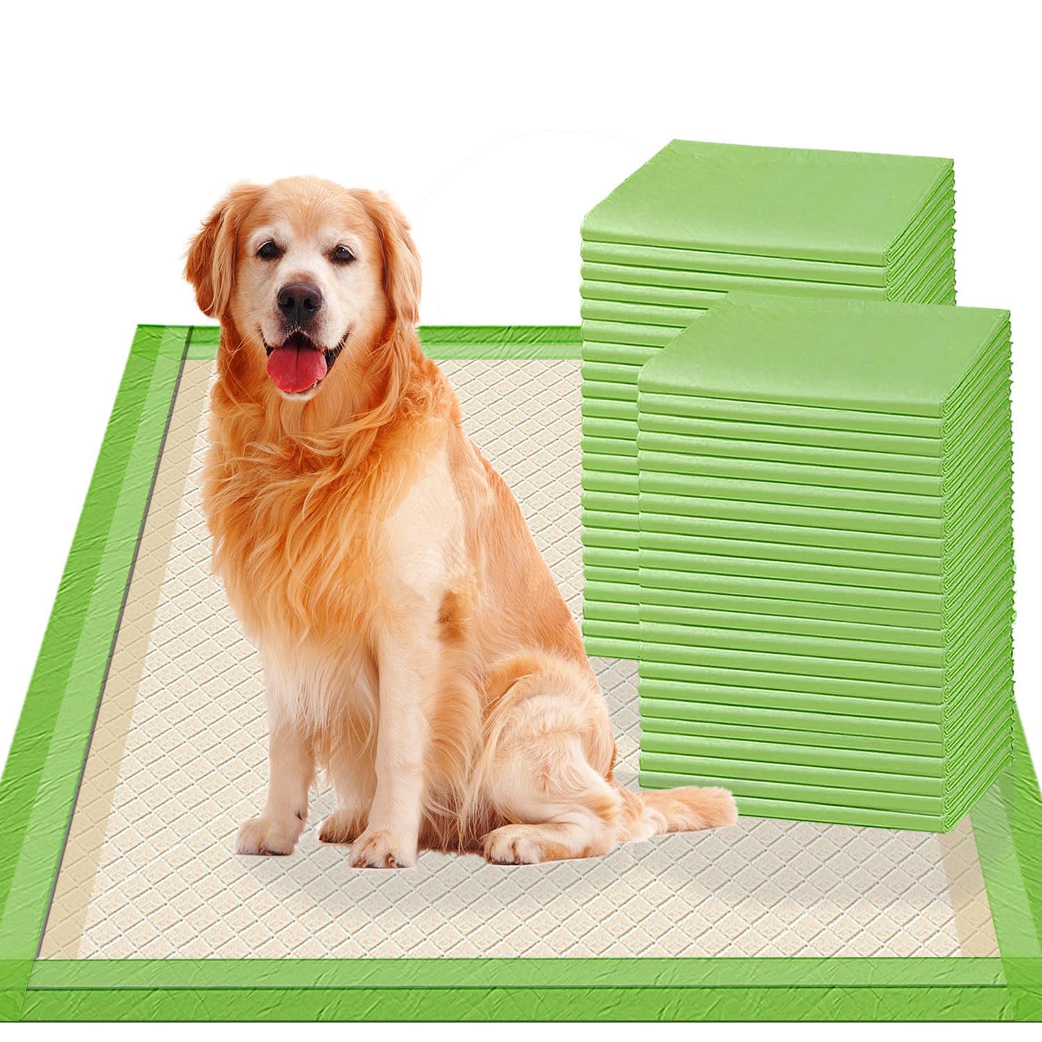 Gardner Pet Extra Grande traversine cani 70×85 cm: in super offerta Amazon con il 26% di sconto
