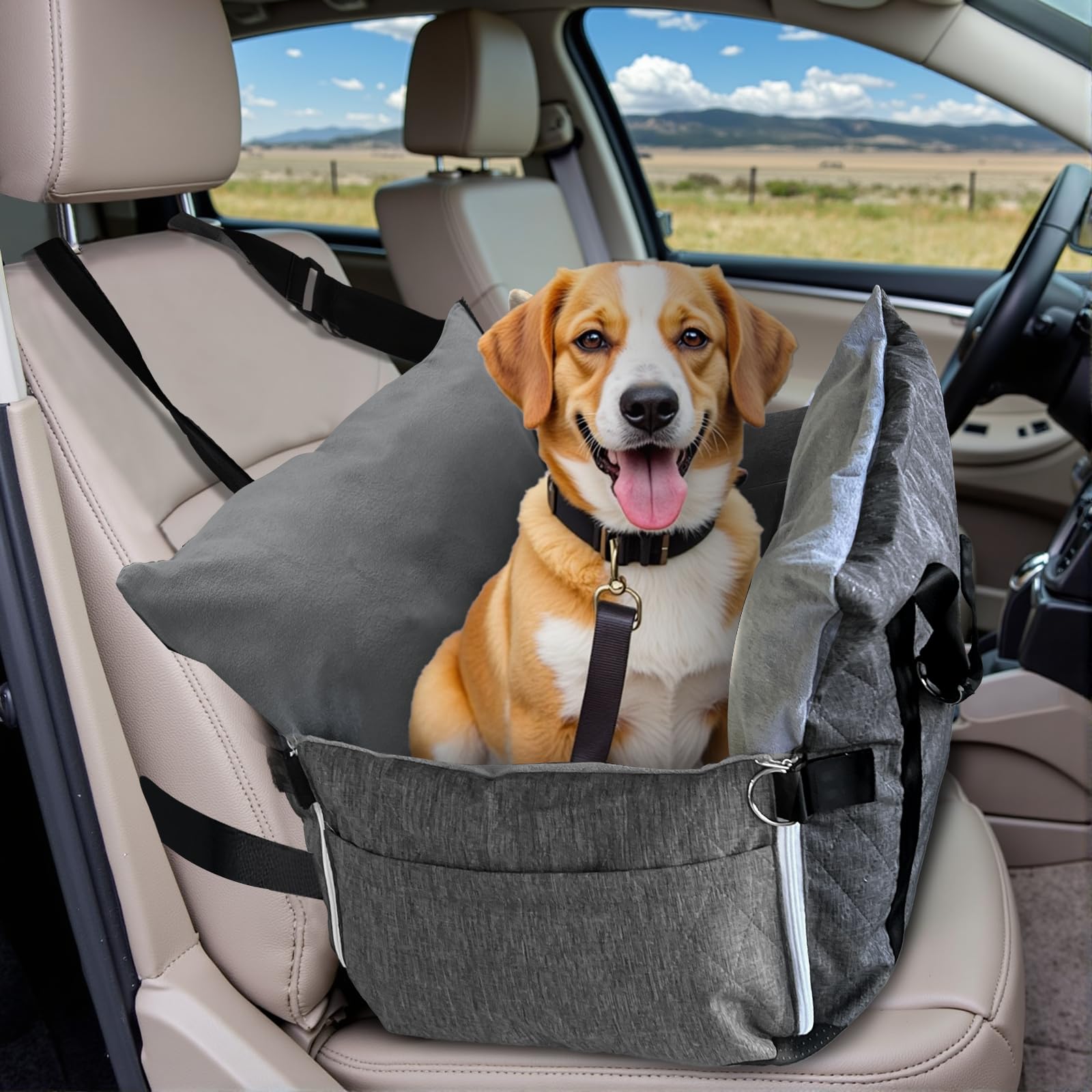 LELEFIDO seggiolino auto per cani piccoli e medi a -20%: comfort e sicurezza in viaggio