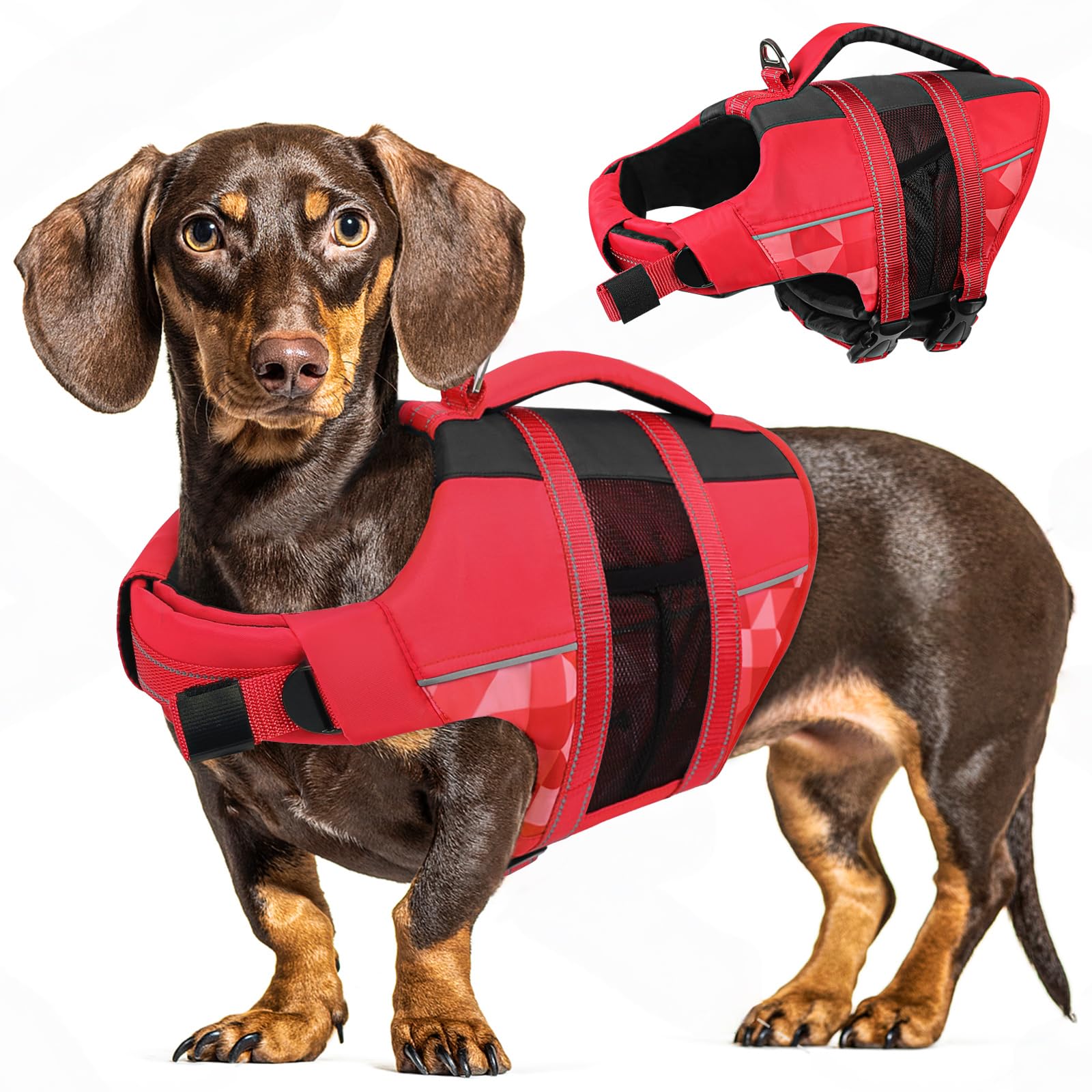 CITÉTOILE giubbotto di salvataggio per cani regolabile: offerta Amazon del 47%