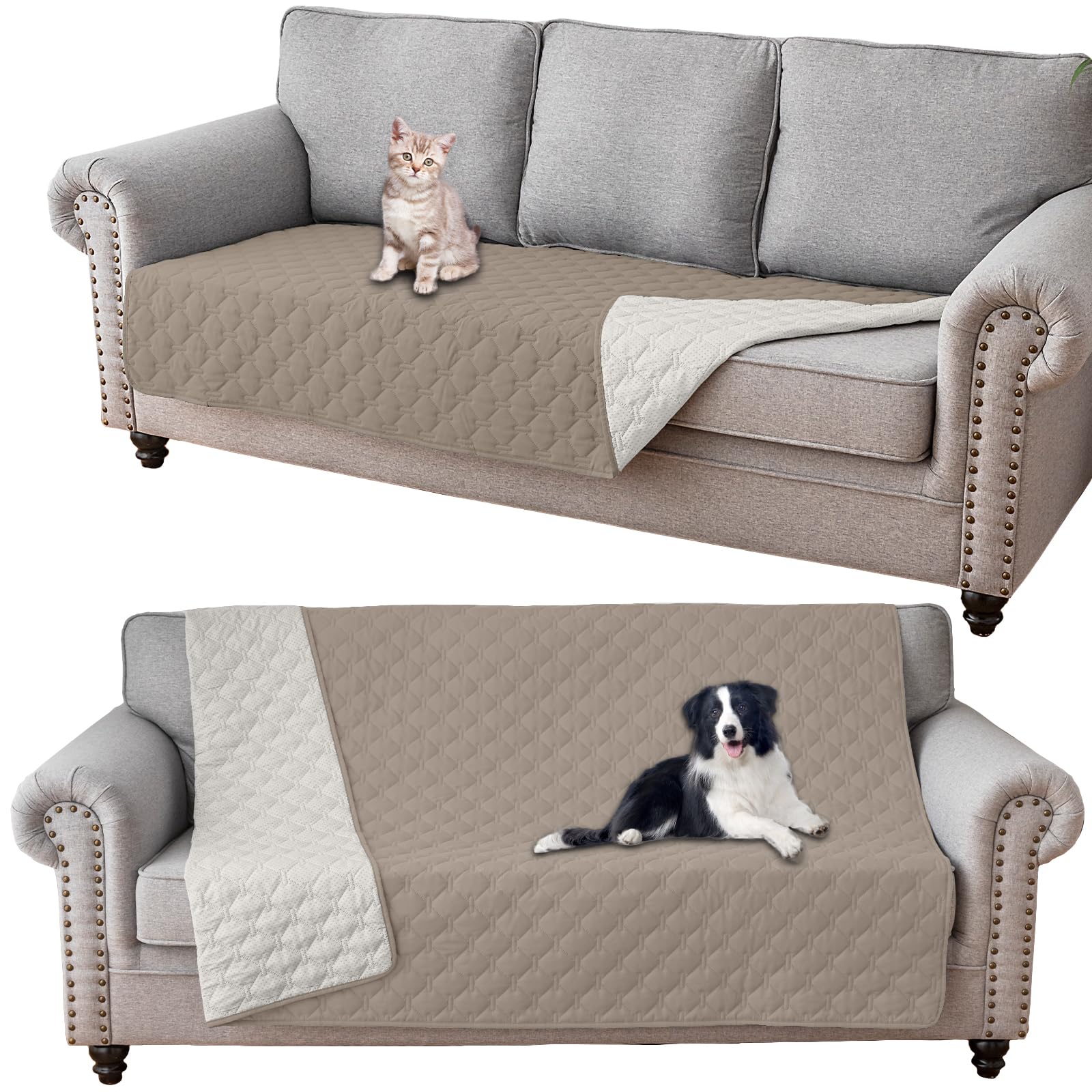 Coperta impermeabile per cani e divano in offerta Amazon a -38%: praticità e protezione XL