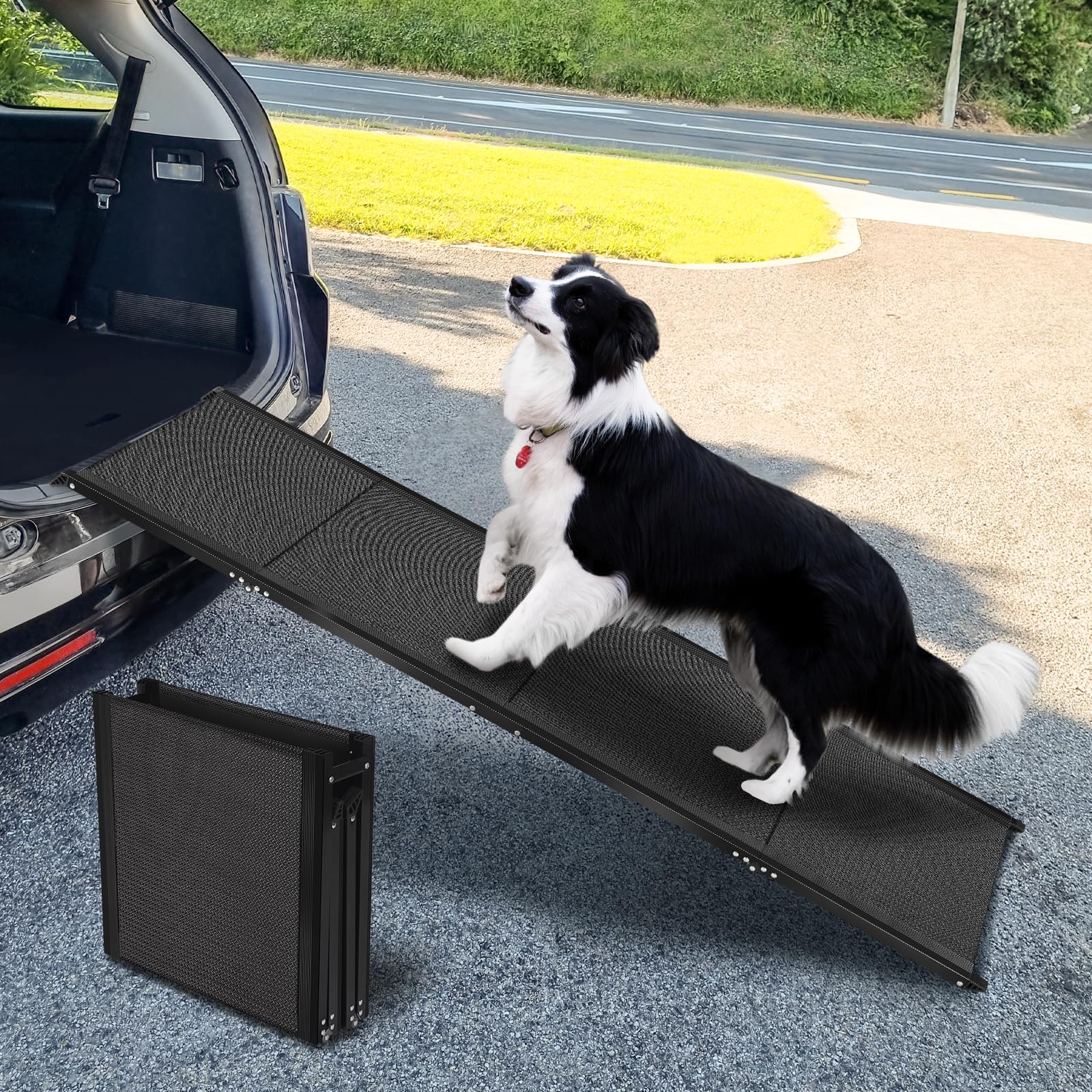 FASNATI rampa per cani auto pieghevole in super offerta su Amazon: sconto del 28% per sicurezza e praticità