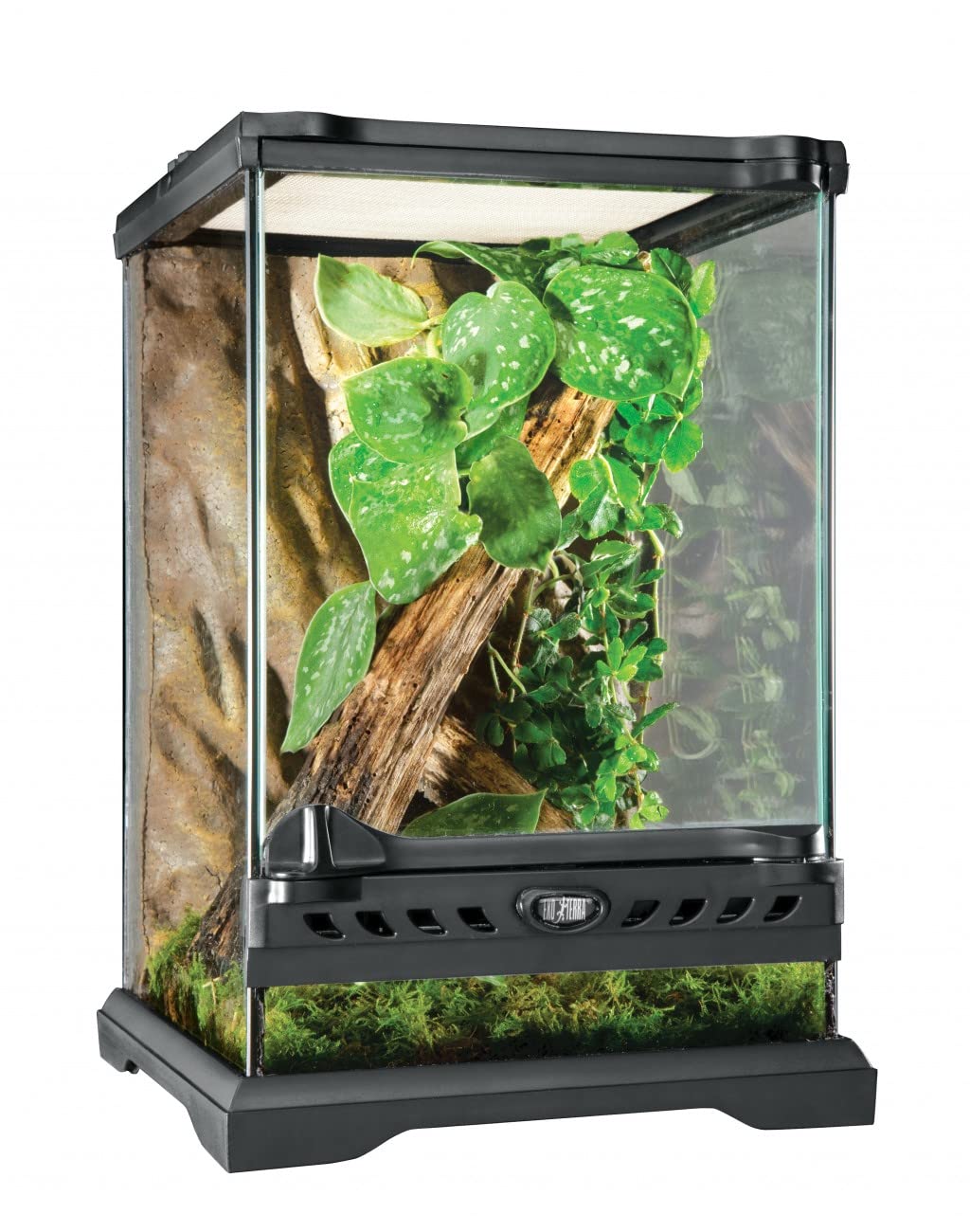 PT-2601 Glass Terrarium Nano High: il terrario compatto perfetto per piccoli rettili
