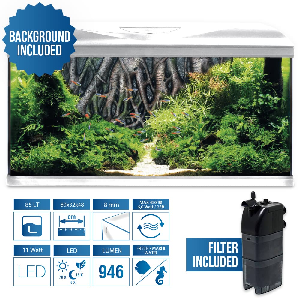 Acquario Amtra System Tank V2 80cm LED white: fondale 3D e tecnologia smart per gli acquariofili