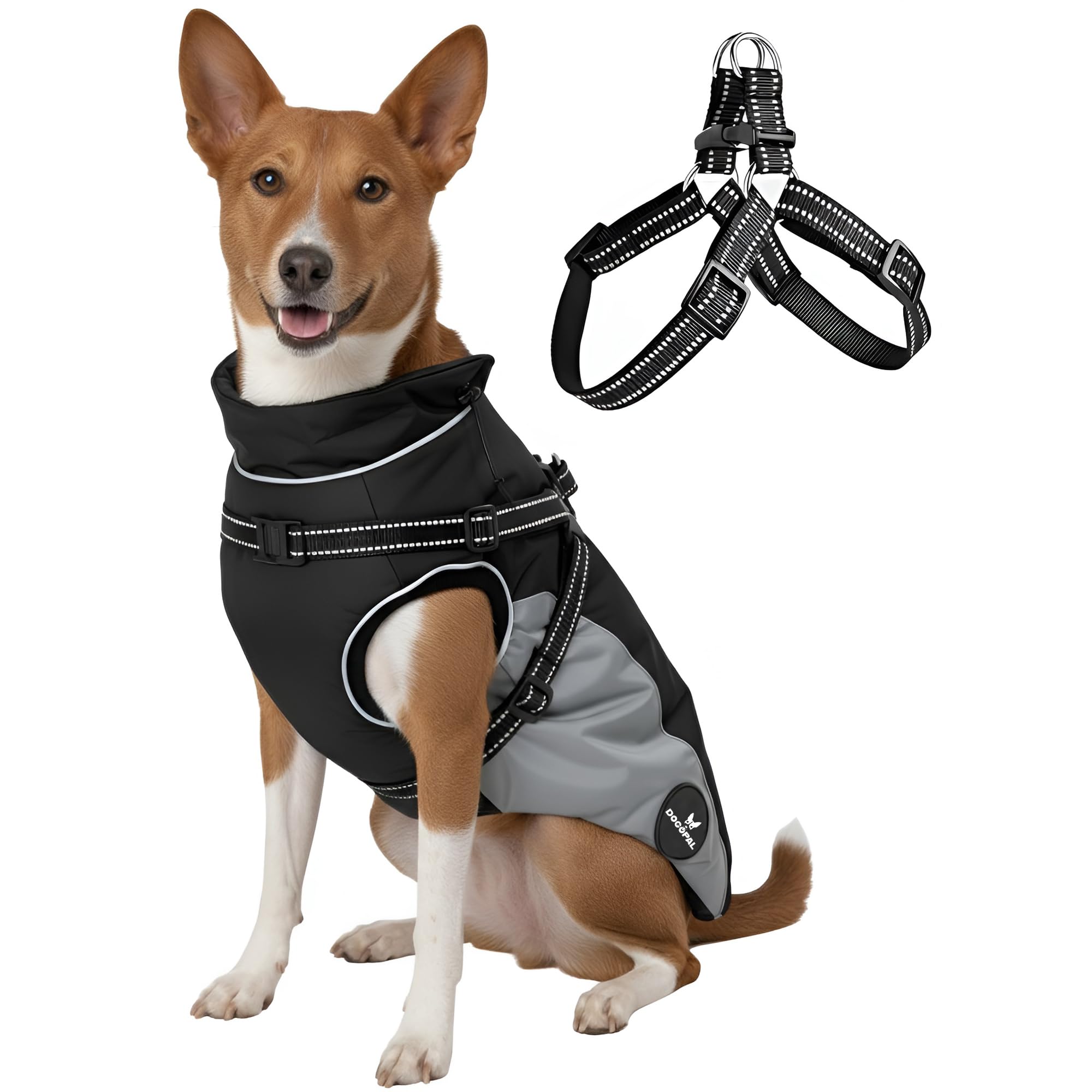 DOGOPAL impermeabile con pettorina integrata per cani: comfort, protezione e massimo controllo in inverno