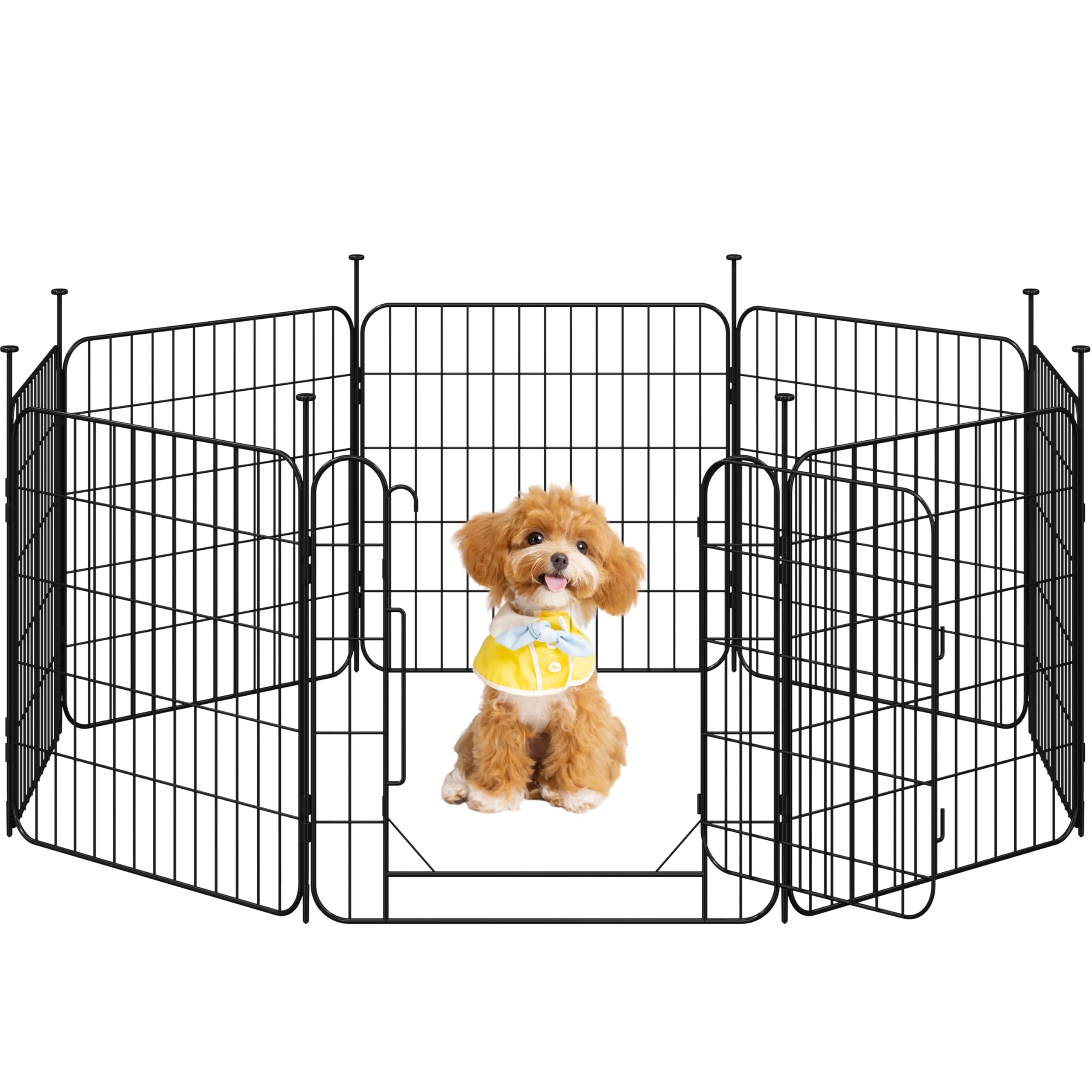 Yaheetech recinto per cani da interno ed esterno, la scelta robusta per la sicurezza dei tuoi pet in casa e giardino