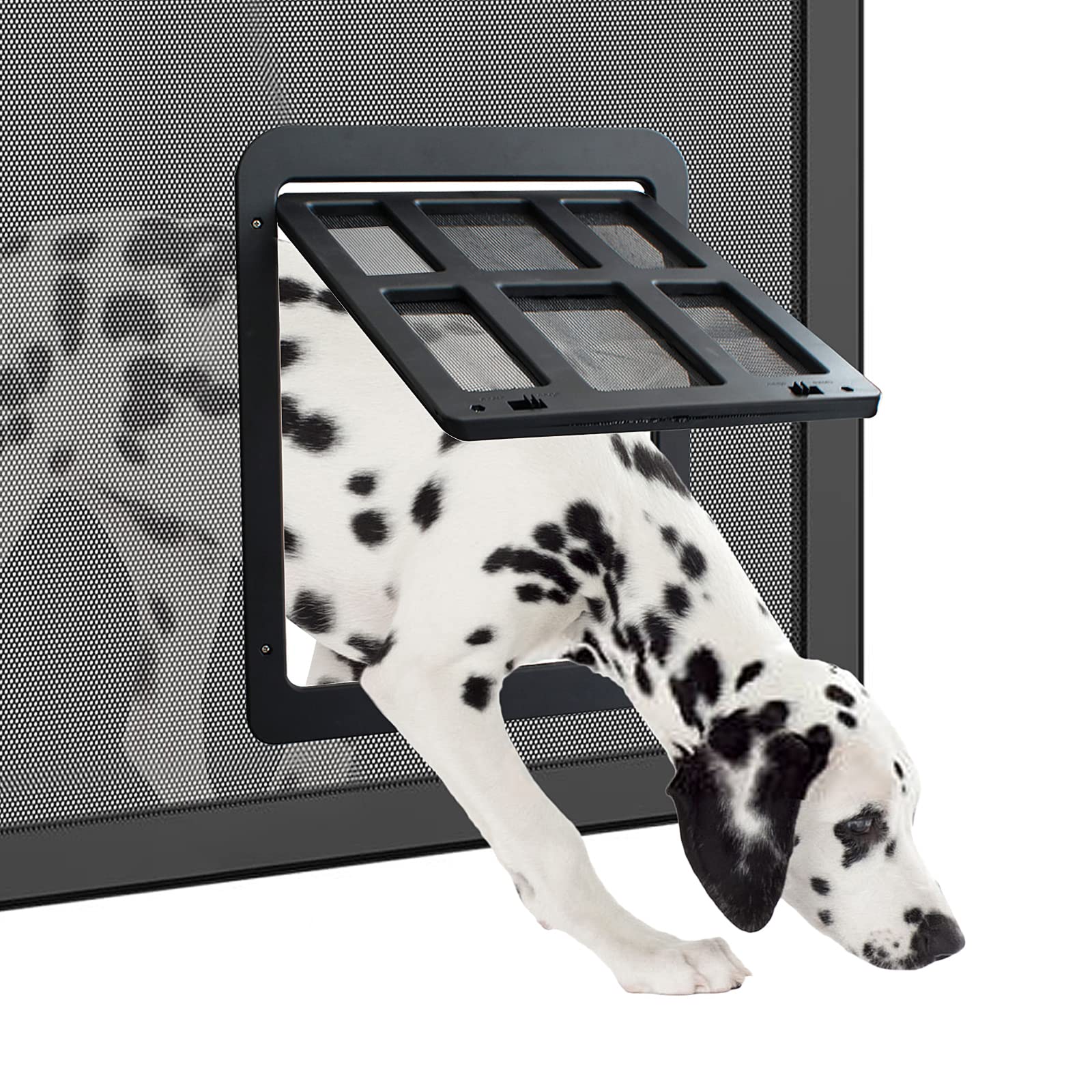 Schermo porta per cani e gatti, libertà e praticità per l’accesso a portico e finestra