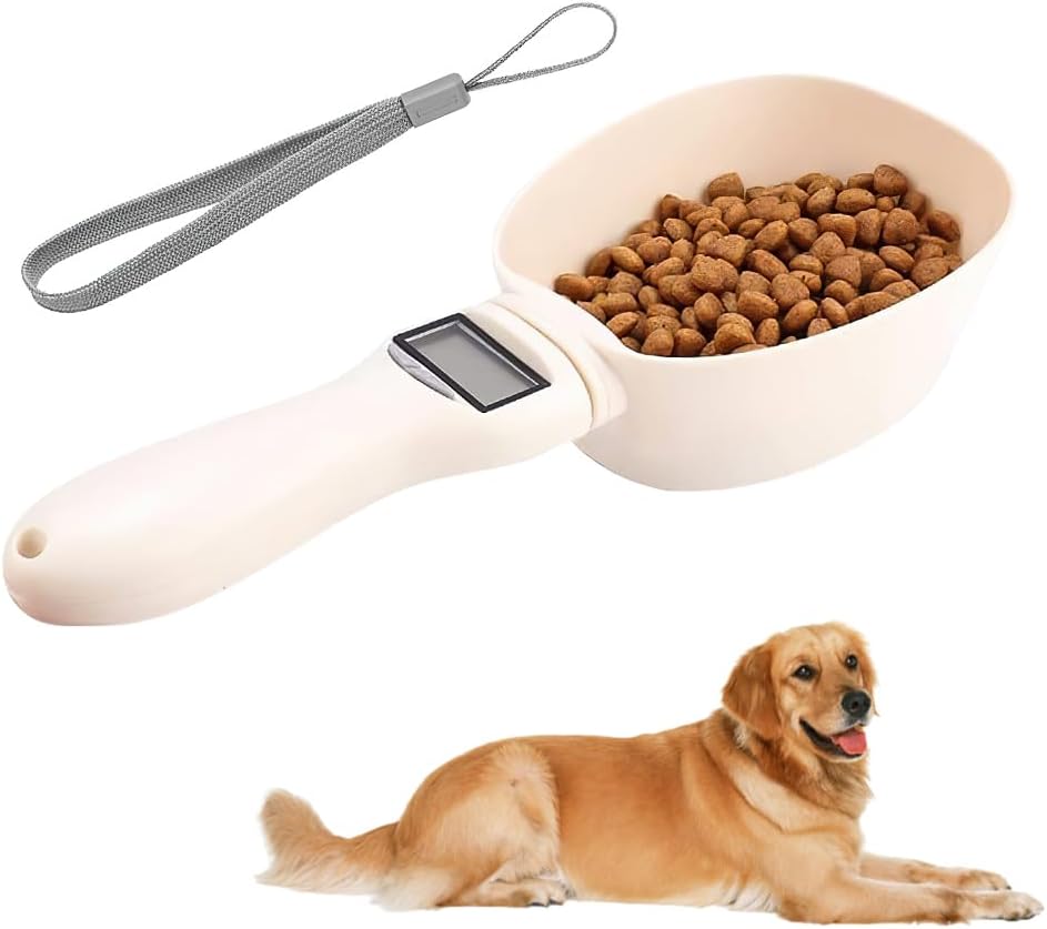 Cani e gatti in sovrappeso: come calcolare le calorie giornaliere e impostare un dimagrimento sicuro