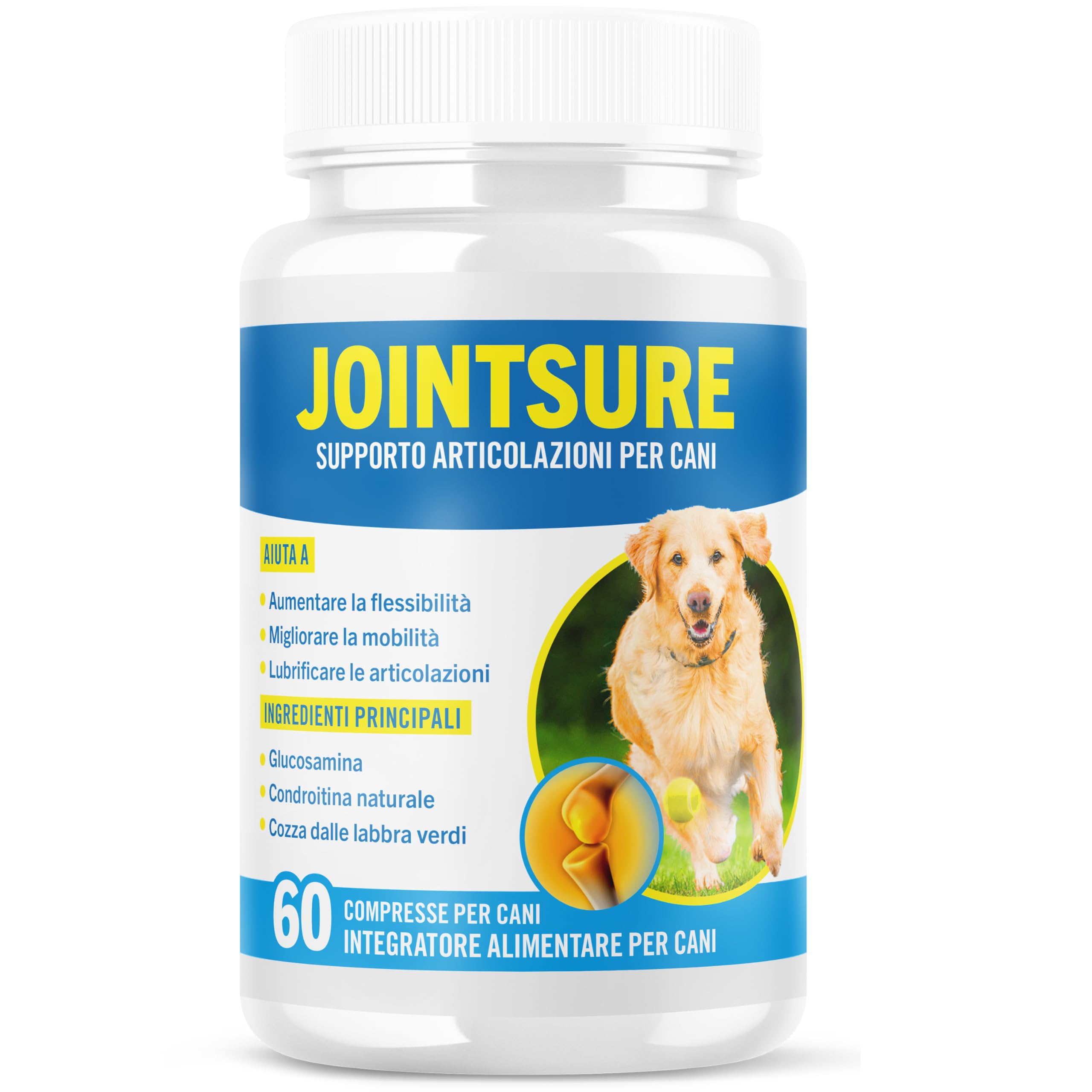 JOINTSURE integratore per le articolazioni del cane: quando può essere utile per mobilità e benessere