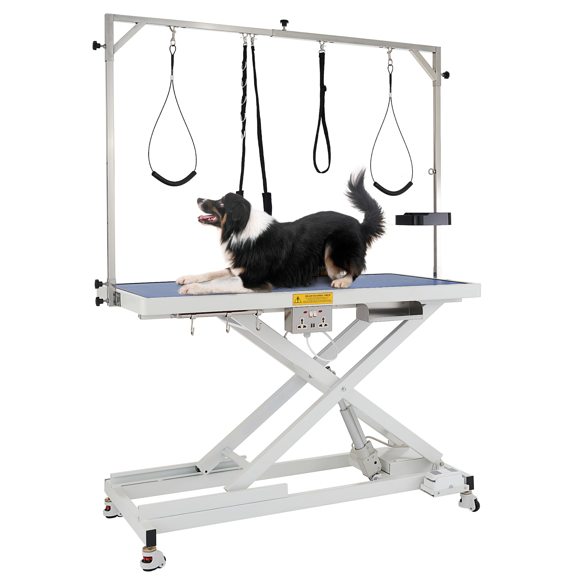 CO-Z tavolo elettrico da toelettatura per cani: grooming professionale in casa a un prezzo imperdibile