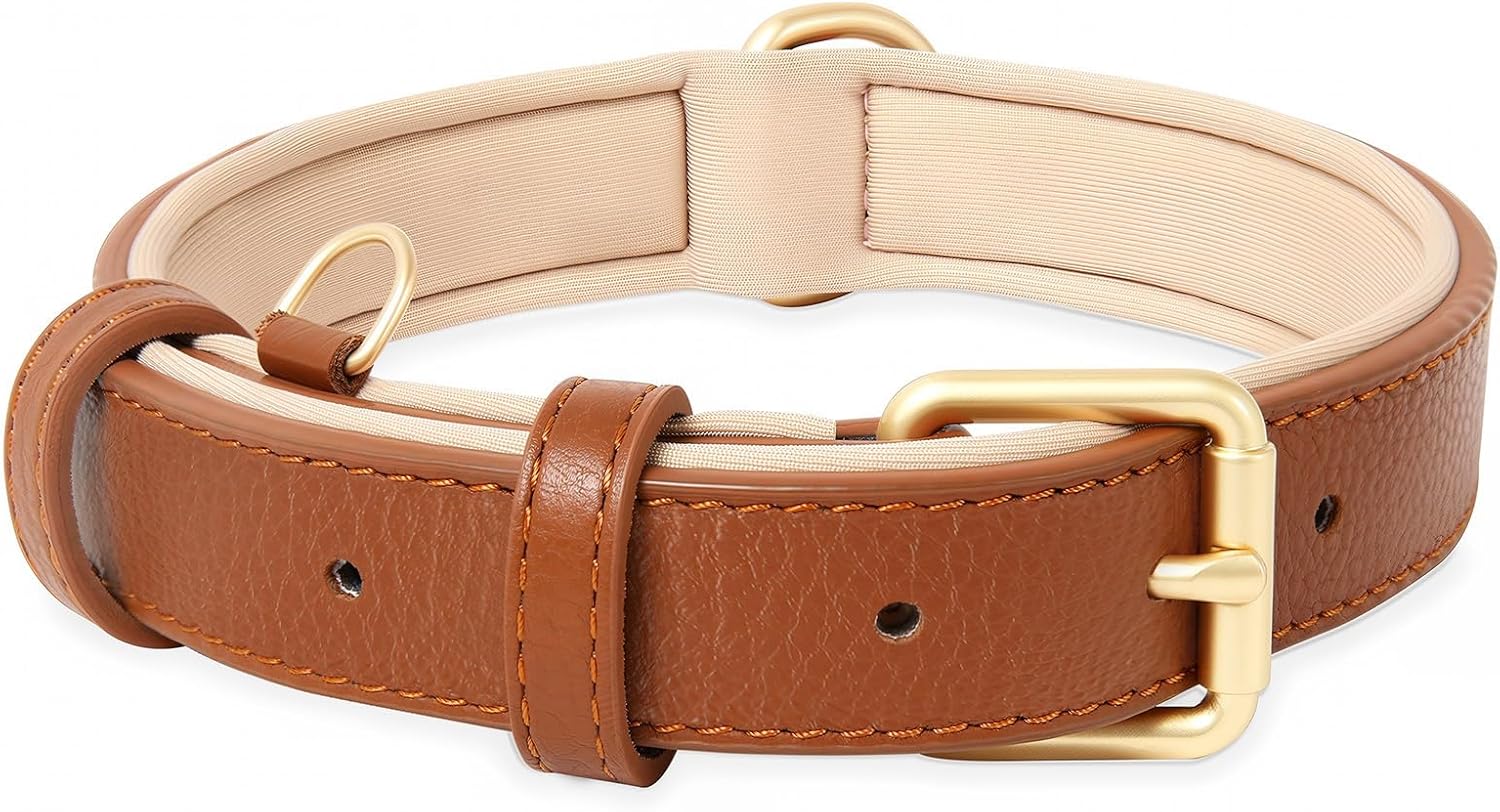 Collari per cani: guida alla scelta tra pelle, nylon, pettorina e collari antiparassitari