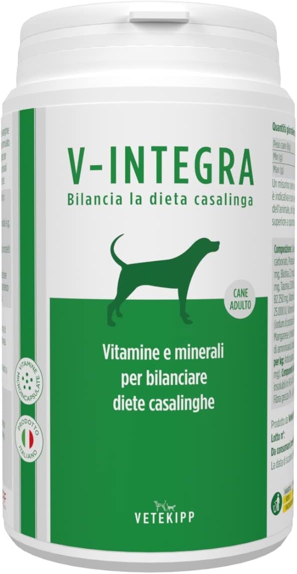 Dieta casalinga per cani: quando ha senso, errori pericolosi e come calcolare le calorie