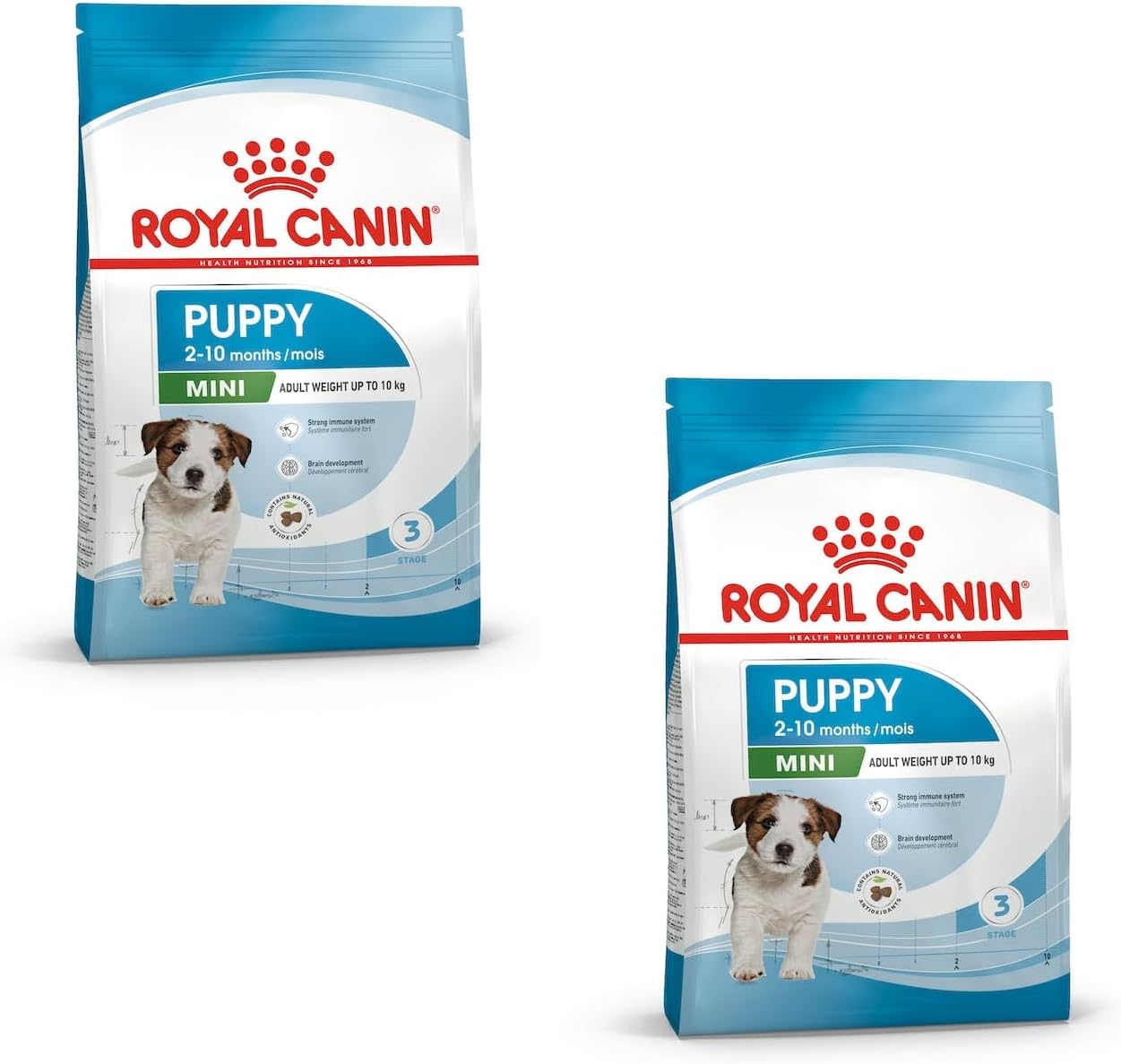 Crocchette per cuccioli di cane: come scegliere tra le principali marche (Royal Canin, Hill’s, Ultima e non solo)