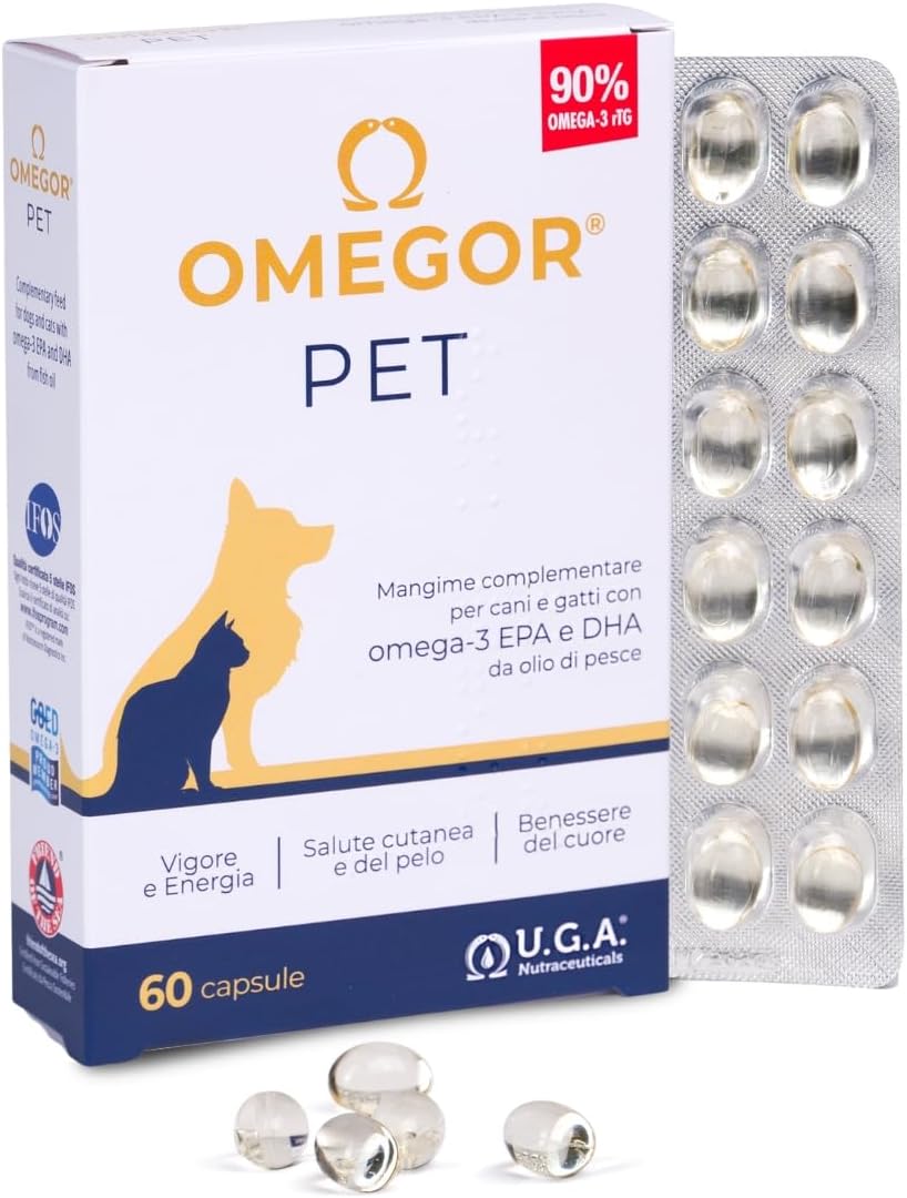 Omega 3 per cani e gatti: benefici reali, quando servono e come leggere l’etichetta