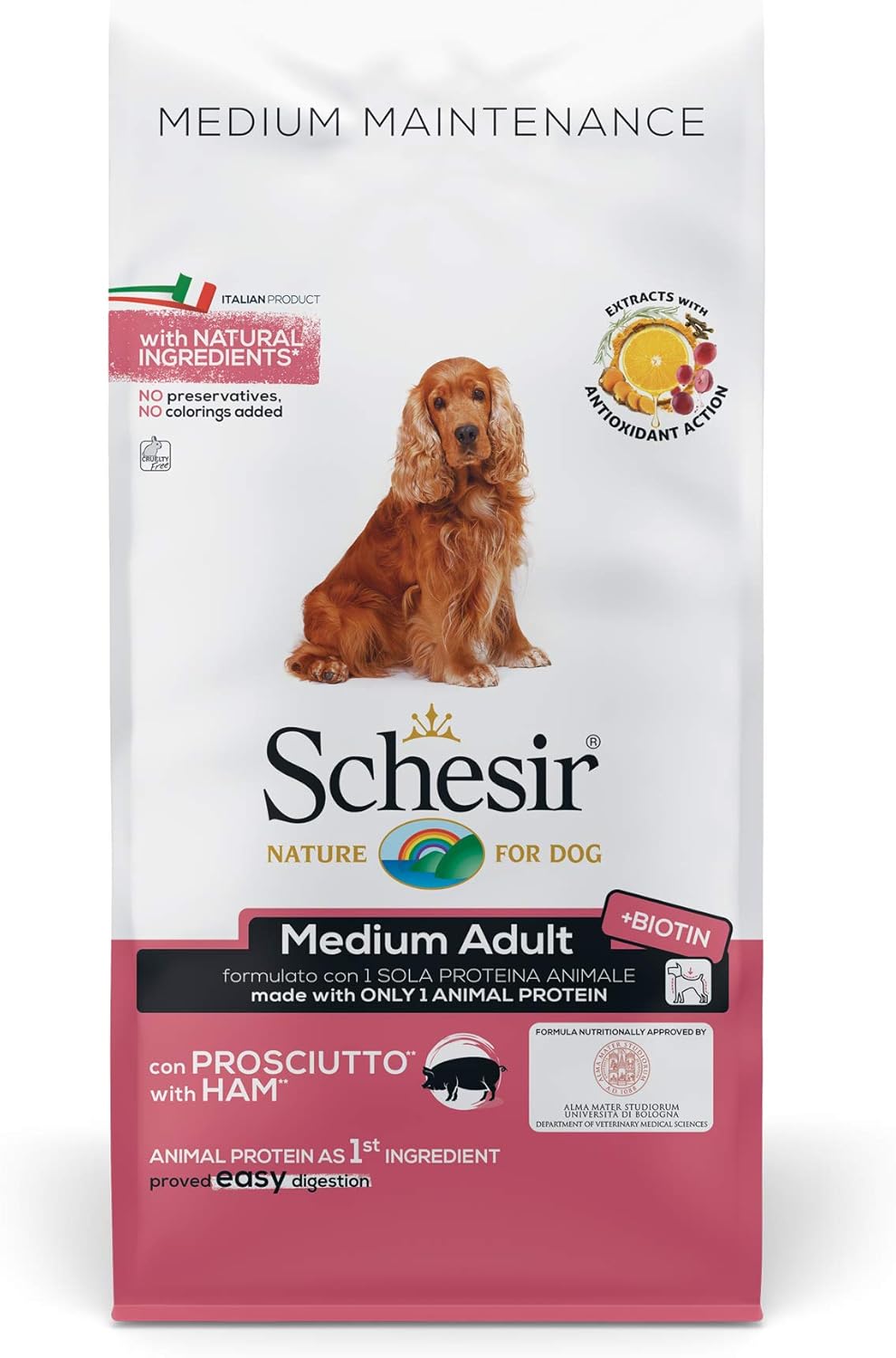 Tabella dosi di cibo per cani: come calcolare le quantità giornaliere tra crocchette, umido e snack