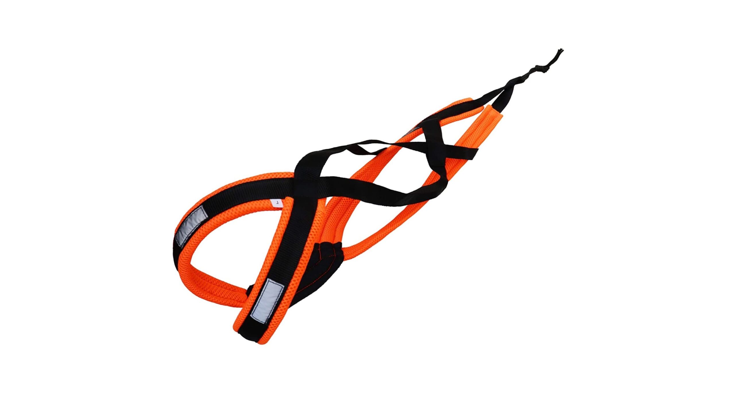 Imbracatura LASALINE X-Back per cani sportivi, l’accessorio giusto per iniziare con canicross e bikejoring