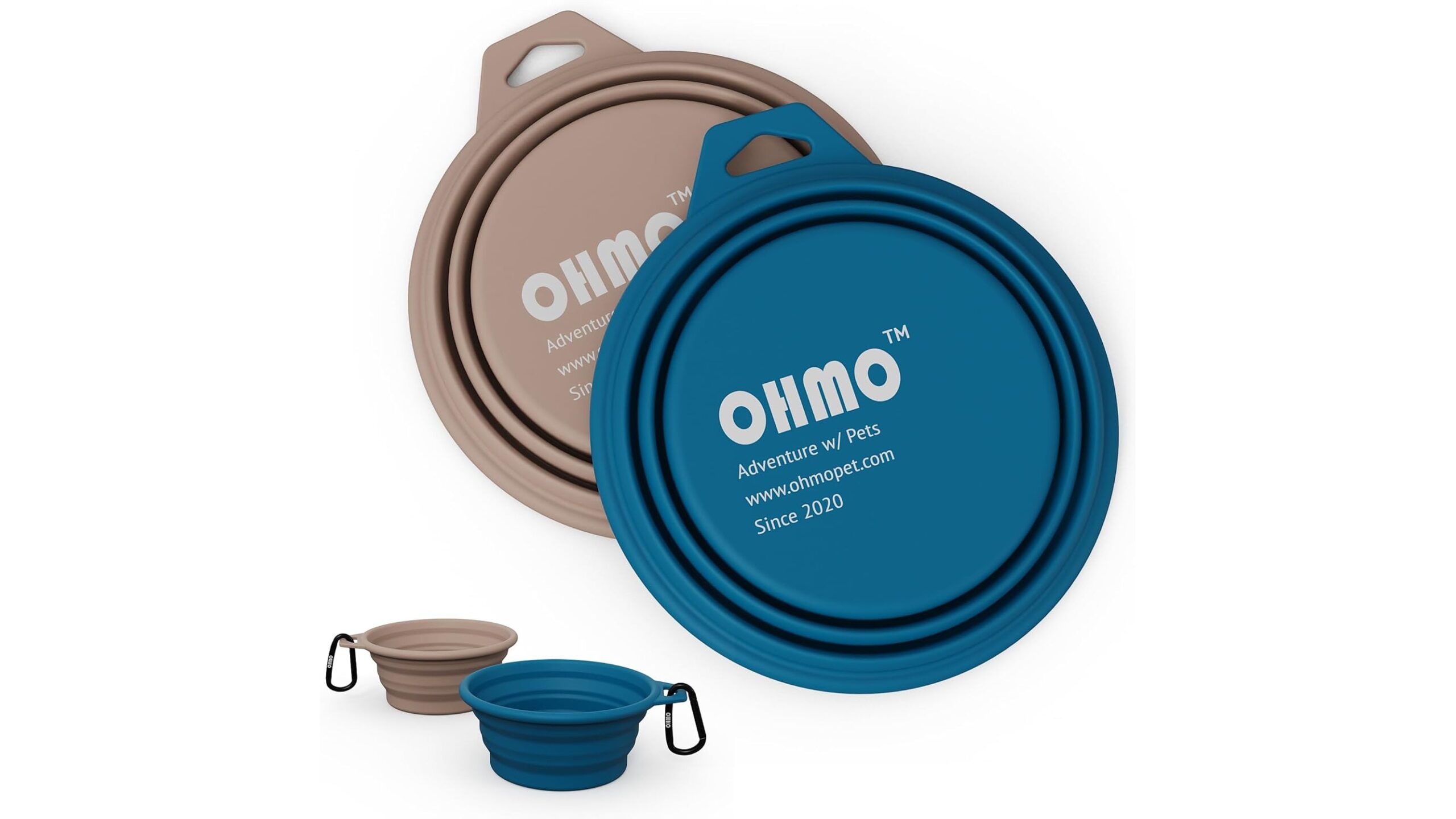 Kit da viaggio primaverile per il cane: cosa mettere nello zaino tra città, trekking e weekend fuori porta