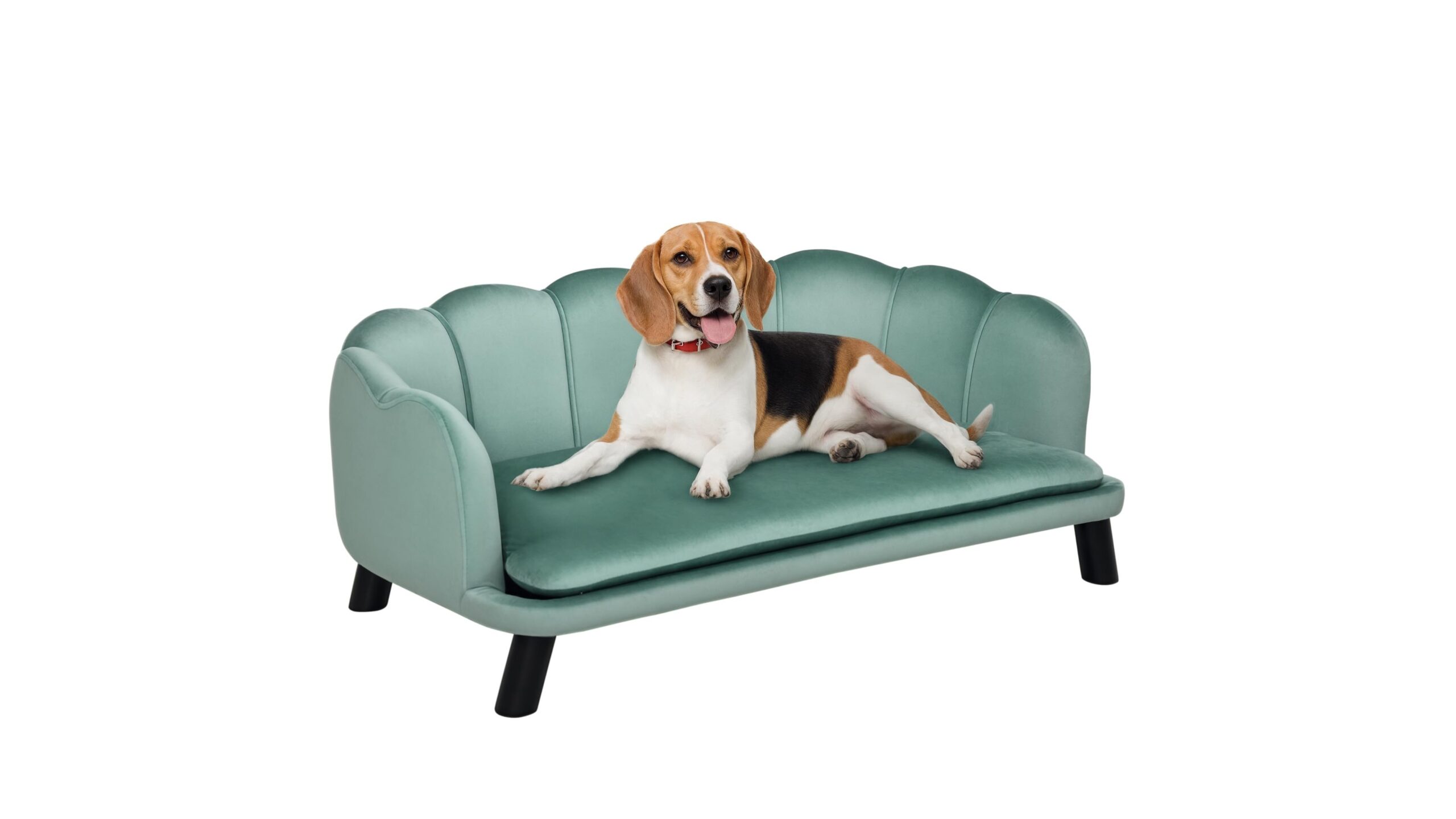 PawHut divano per cani taglia medio-grande, comfort da salotto per i cani di famiglia