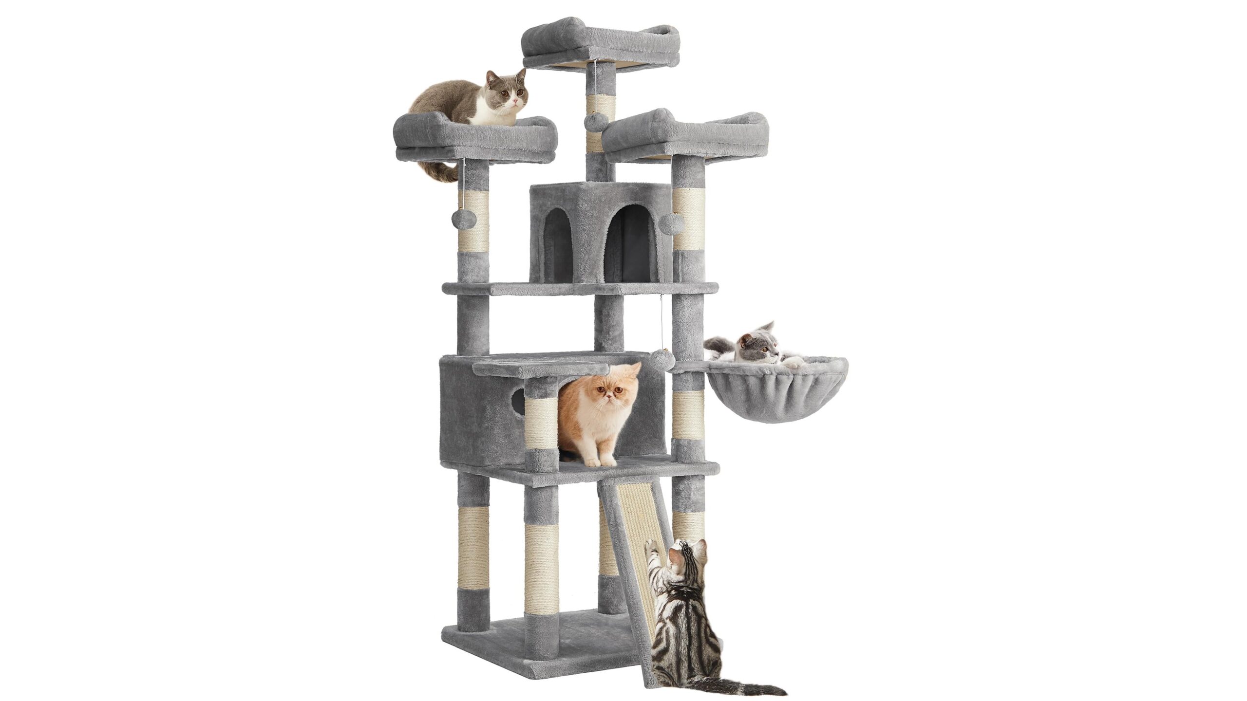 Feandrea tiragraffi XXL 169 cm, albero gioco extra alto per gatti arrampicatori