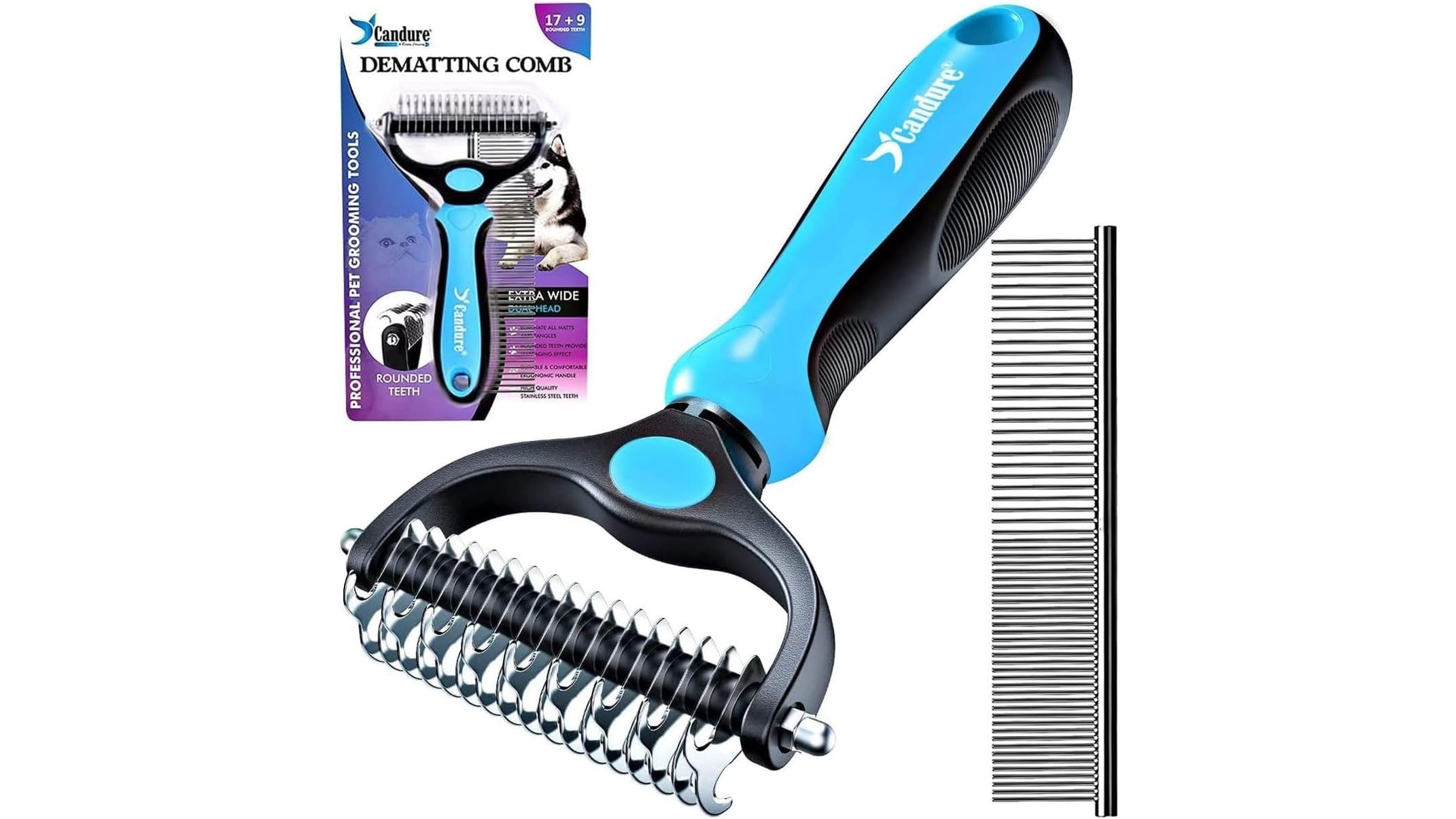 Educazione alla toelettatura: abituare cani e gatti a spazzola, taglio unghie e pulizia orecchie