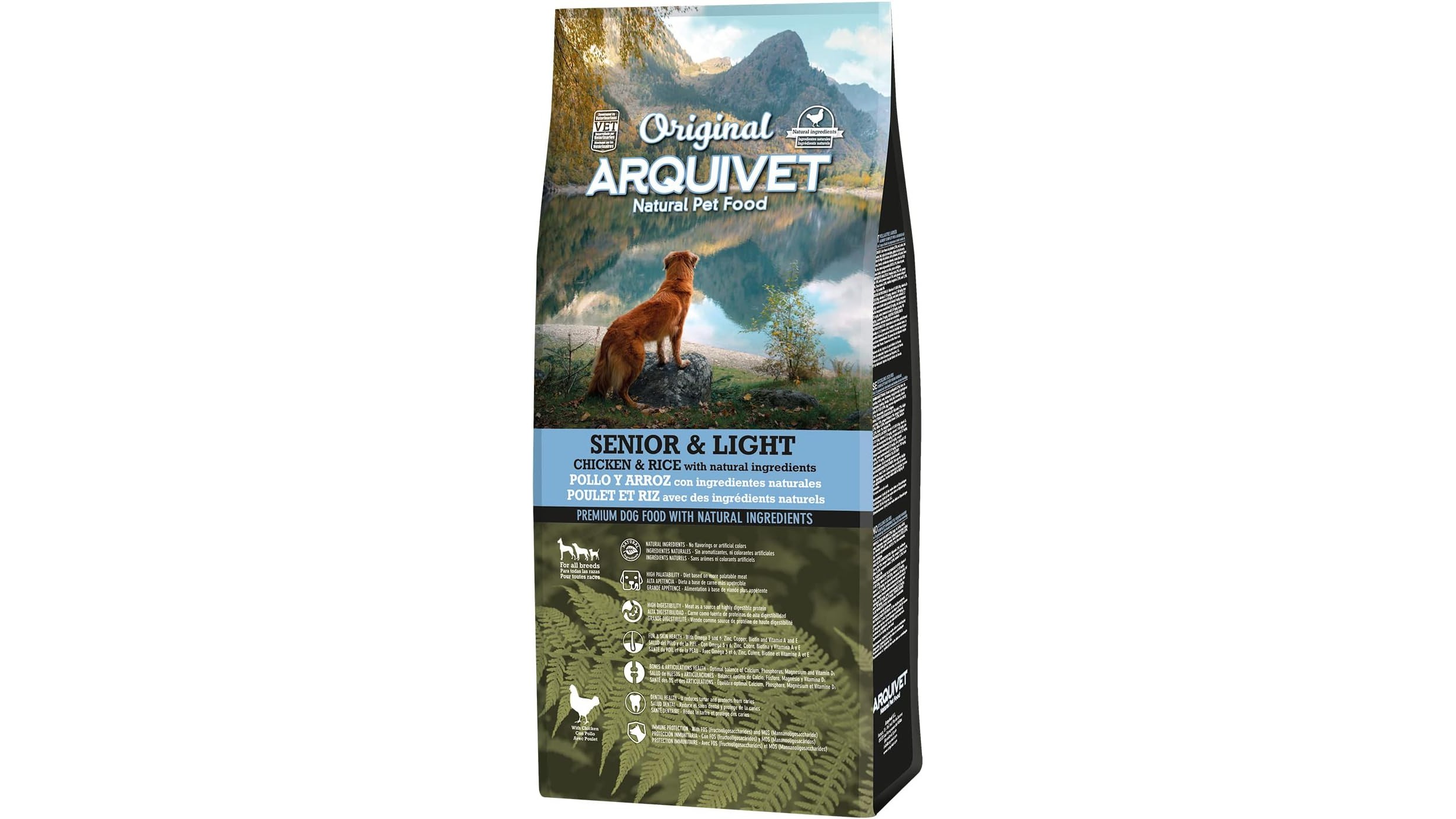 Crocchette per cani anziani di taglia grande: come scegliere tra light, joint care e diete veterinarie