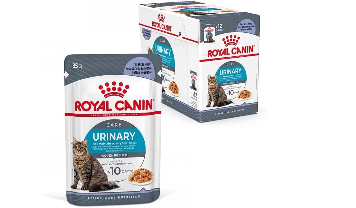 Royal Canin Urinary Care Jelly per gatti adulti, l’umido specifico per il benessere delle vie urinarie in offerta su Amazon