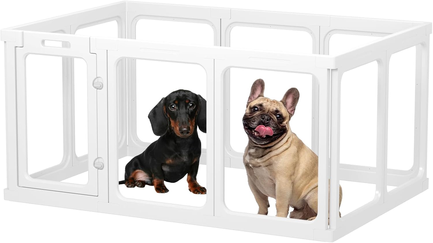 Recinti da interno per cani e gatti: come scegliere dimensioni, materiali e configurazione giusta per casa tua