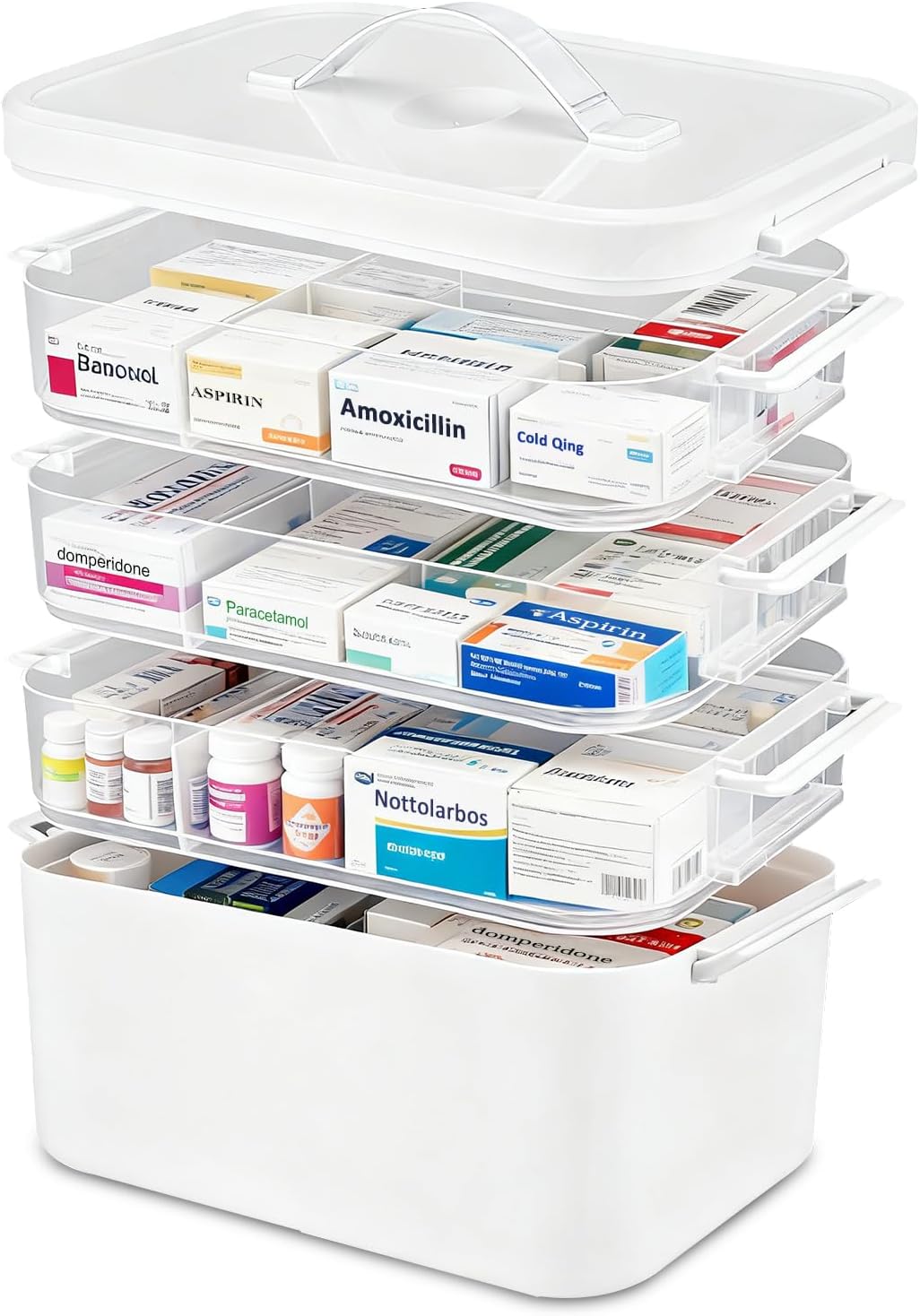 Cane e gatto con malattie croniche: come organizzare farmaci, controlli e alimentazione