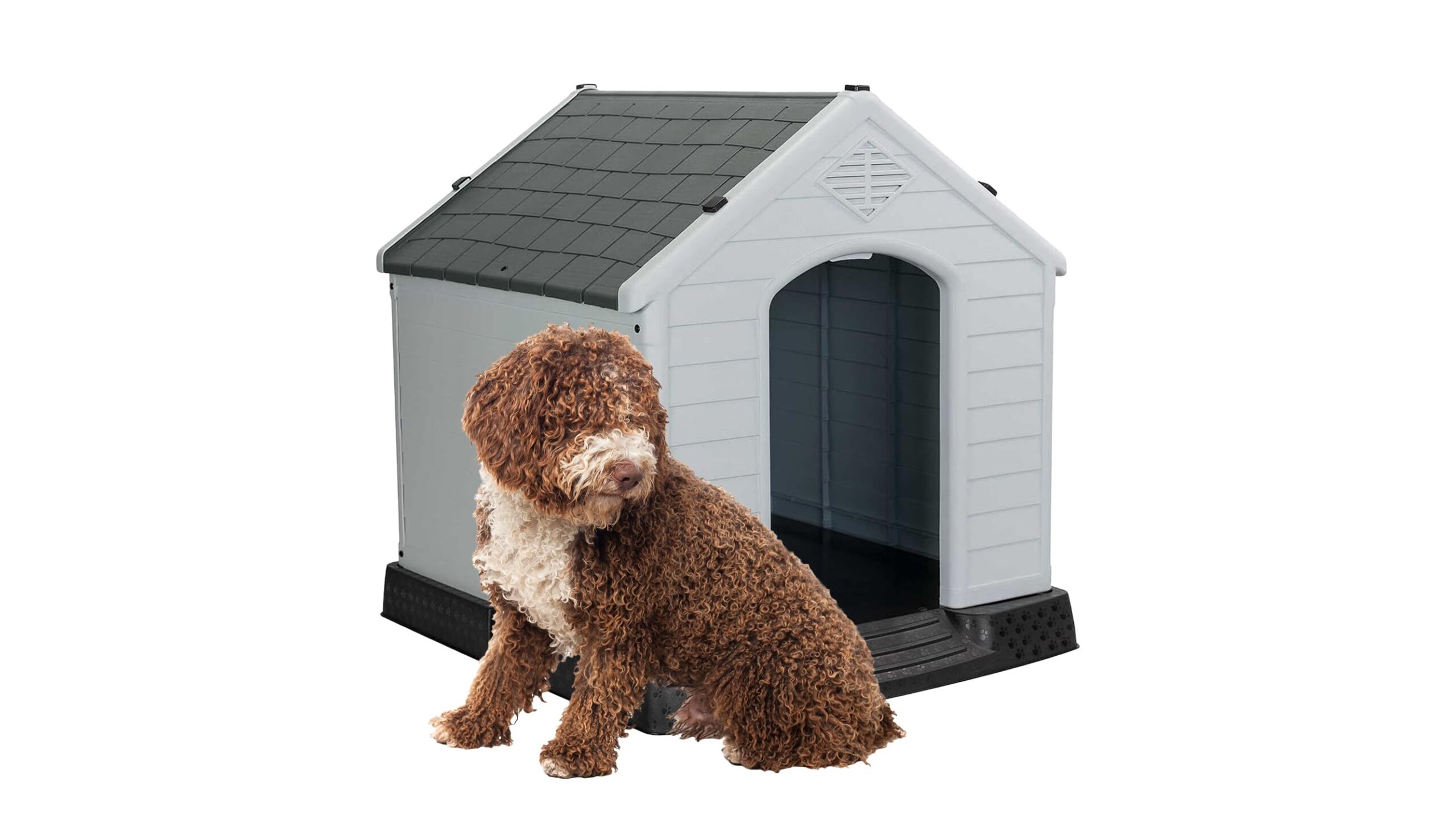 Cuccia in plastica Aqpet per cani di taglia grande, occasione Amazon per giardino e balcone