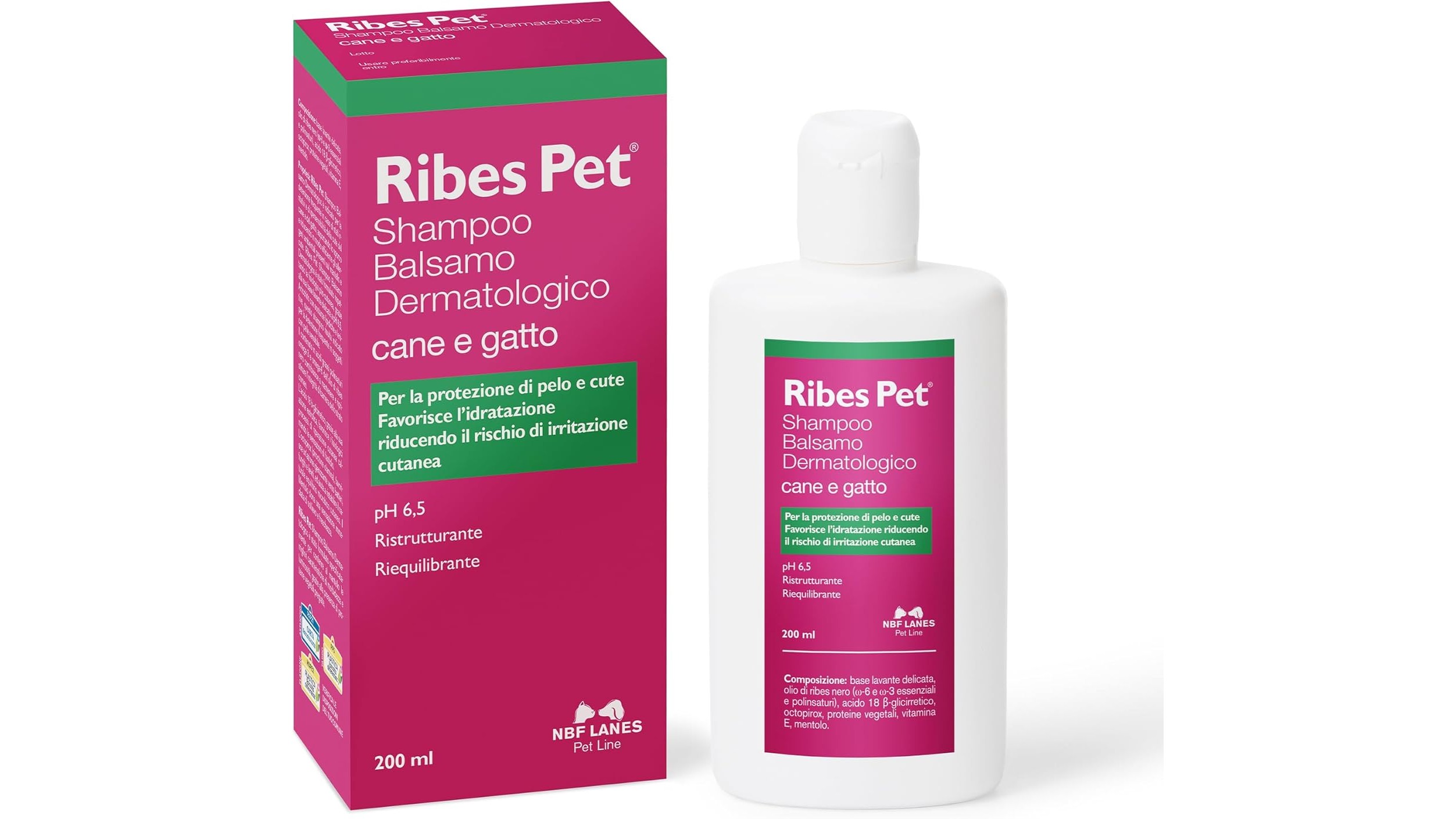 Dermatiti nel gatto: come riconoscere prurito, croste e perdita di pelo e quando andare dal veterinario