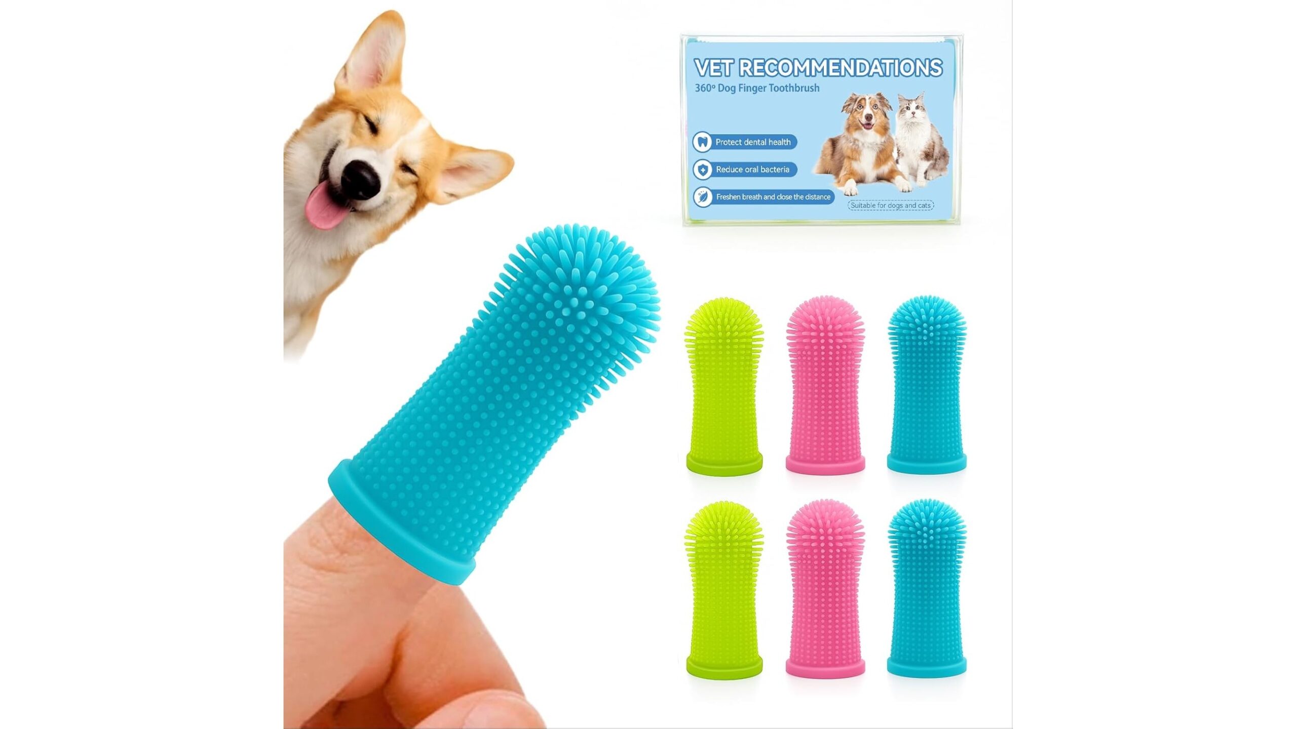 Cura dei denti in cani e gatti: spazzolini, snack e abitudini quotidiane davvero utili