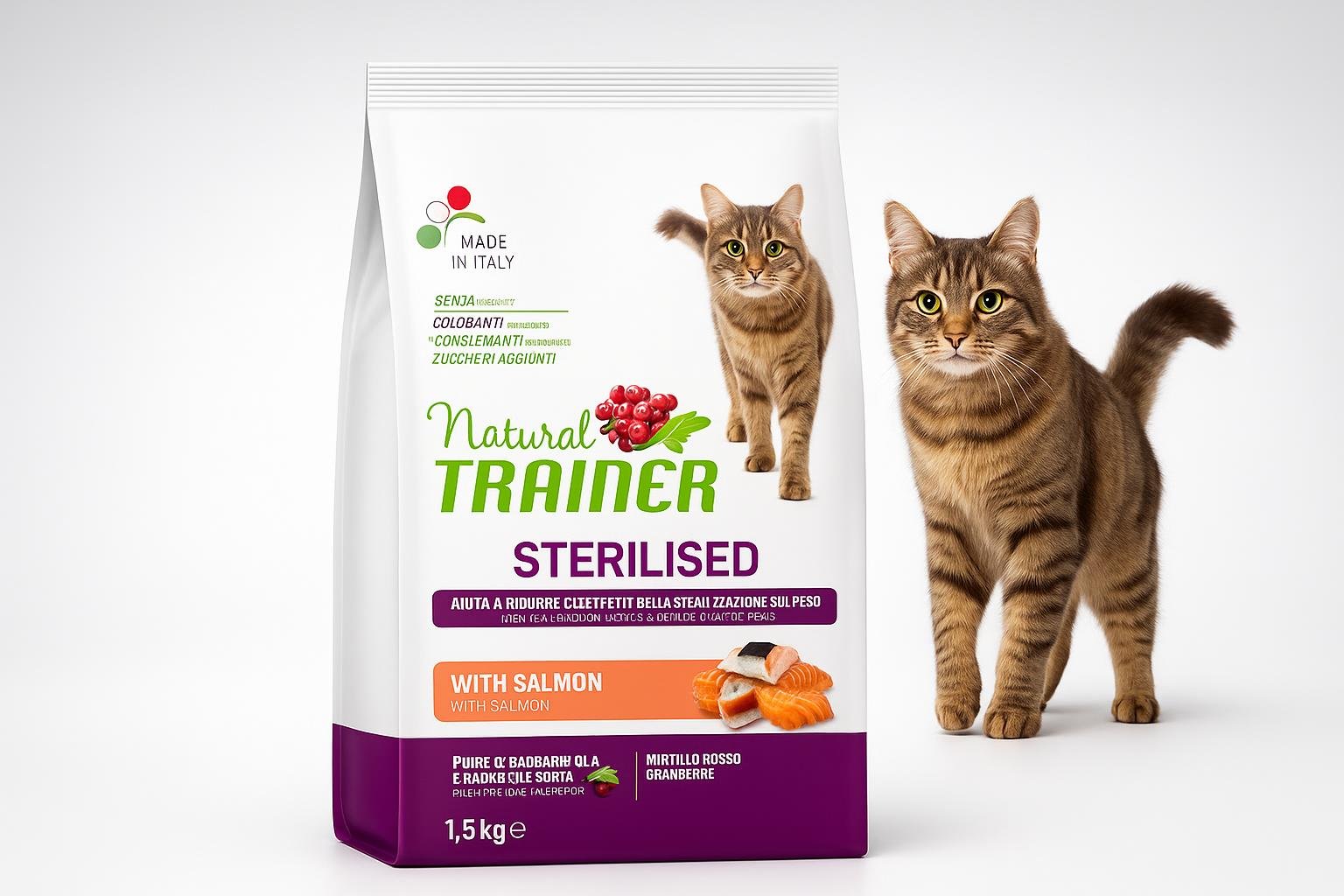 Cibo per gatti sterilizzati: differenze reali e come scegliere il prodotto giusto