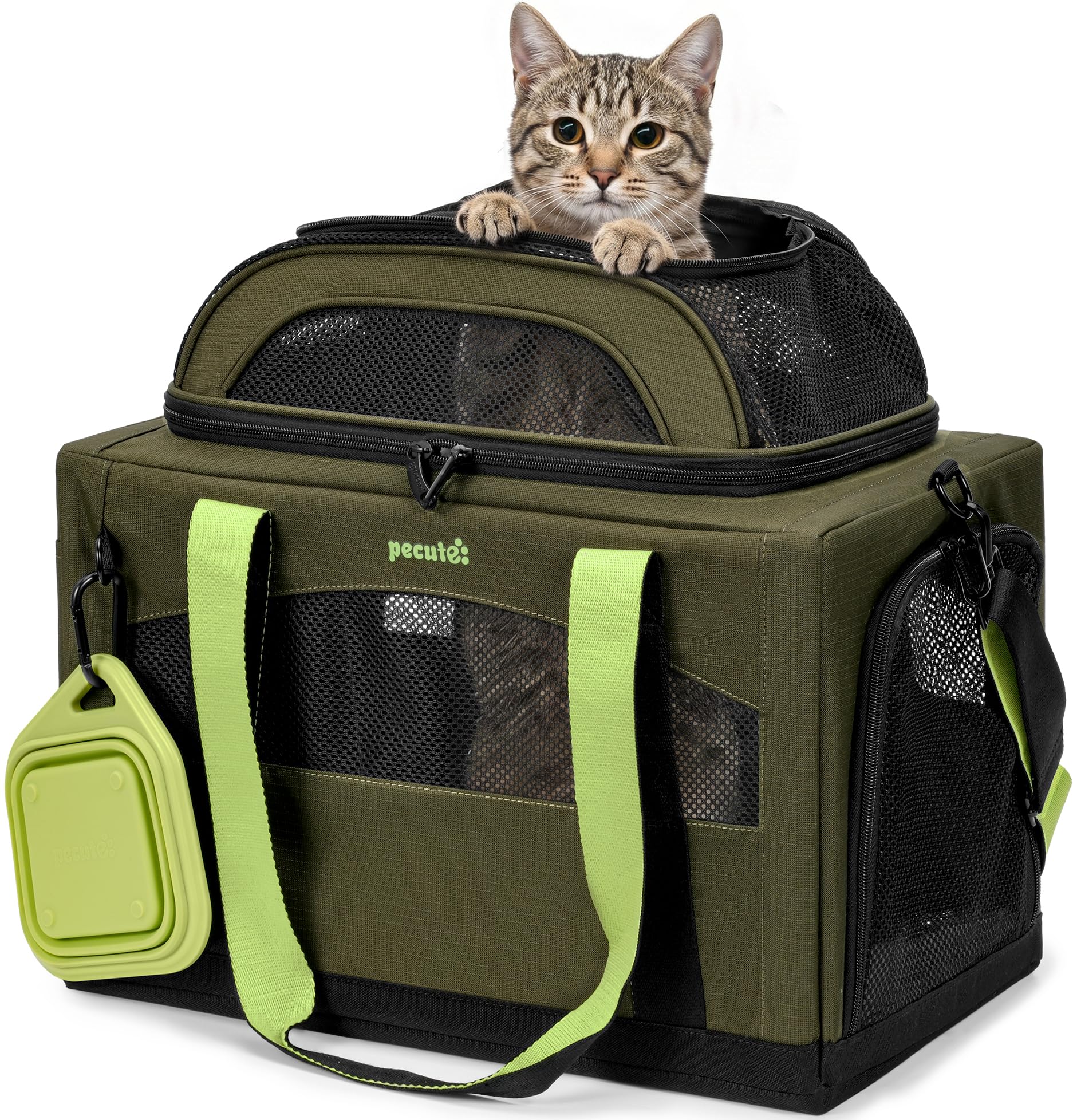 Trasportino espandibile pecute per gatti e cani piccoli: viaggiare comodi e leggeri con l’offerta Amazon