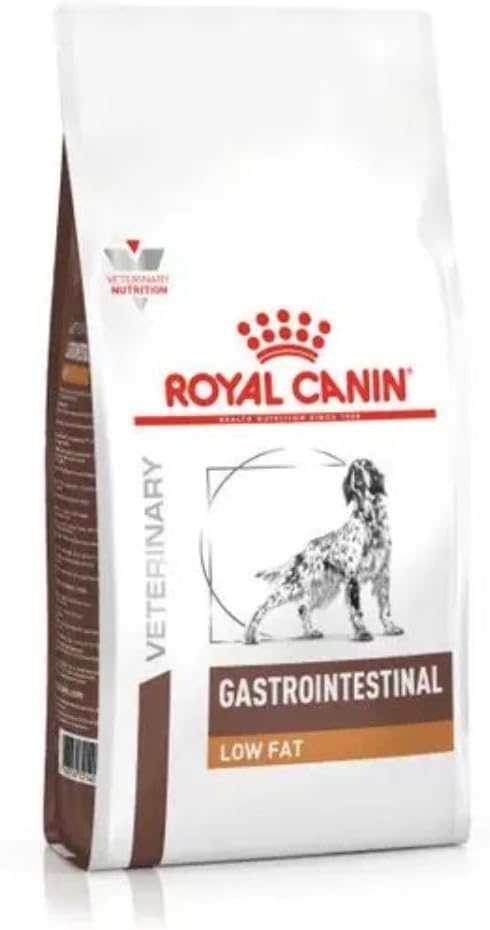 Alimentazione del cane con pancreatite cronica in viaggio: organizzarsi senza rischi