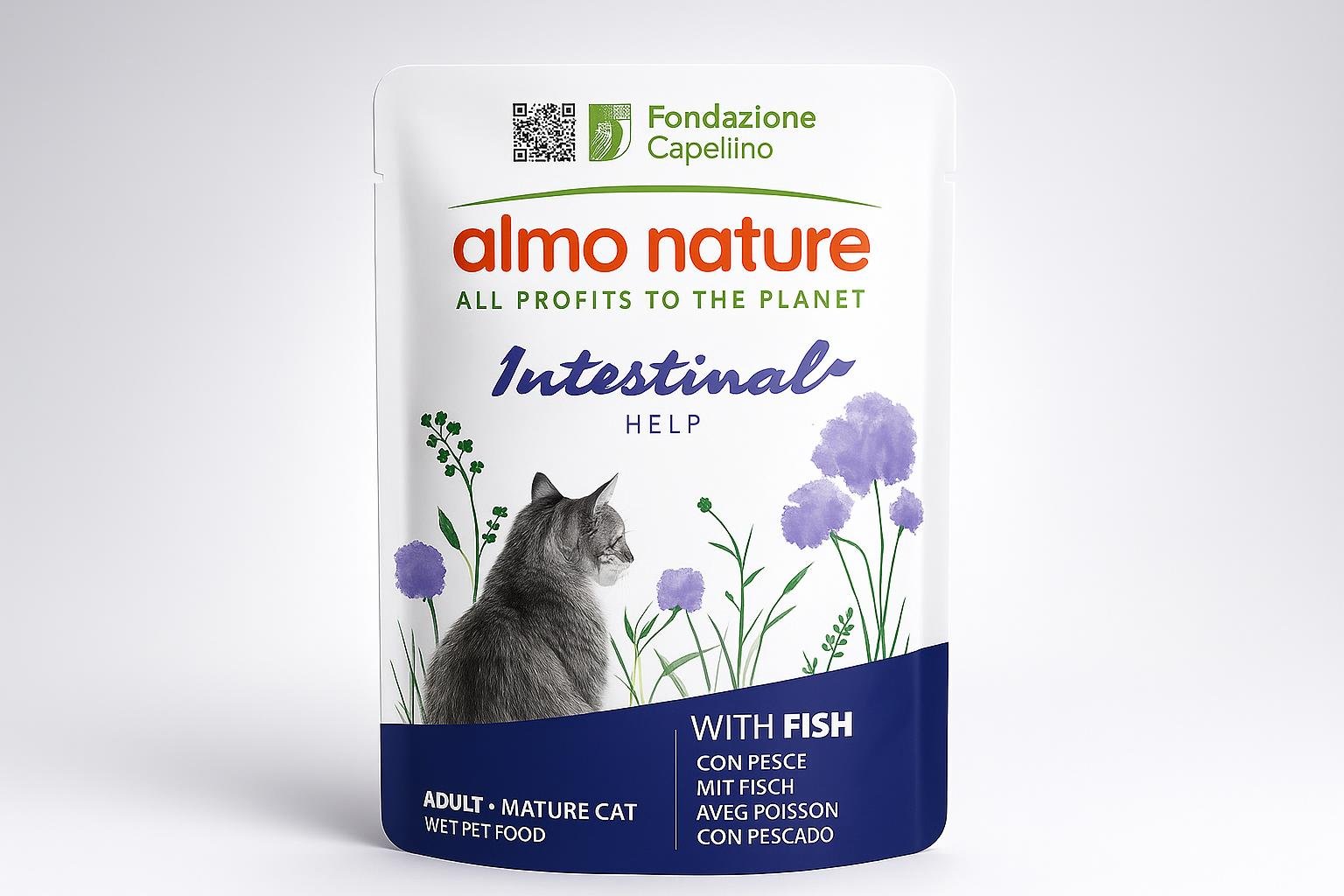 Alimentazione mista casalingo-industriale per gatti d’estate: errori da evitare