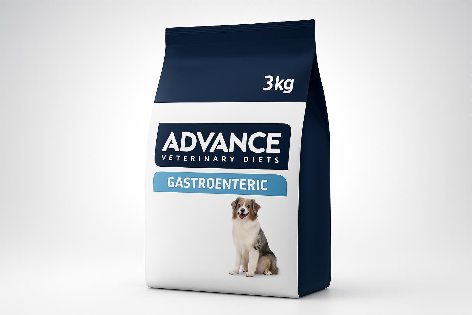 Dopo la dieta veterinaria: come gestire il passaggio a un’alimentazione di mantenimento per cane e gatto