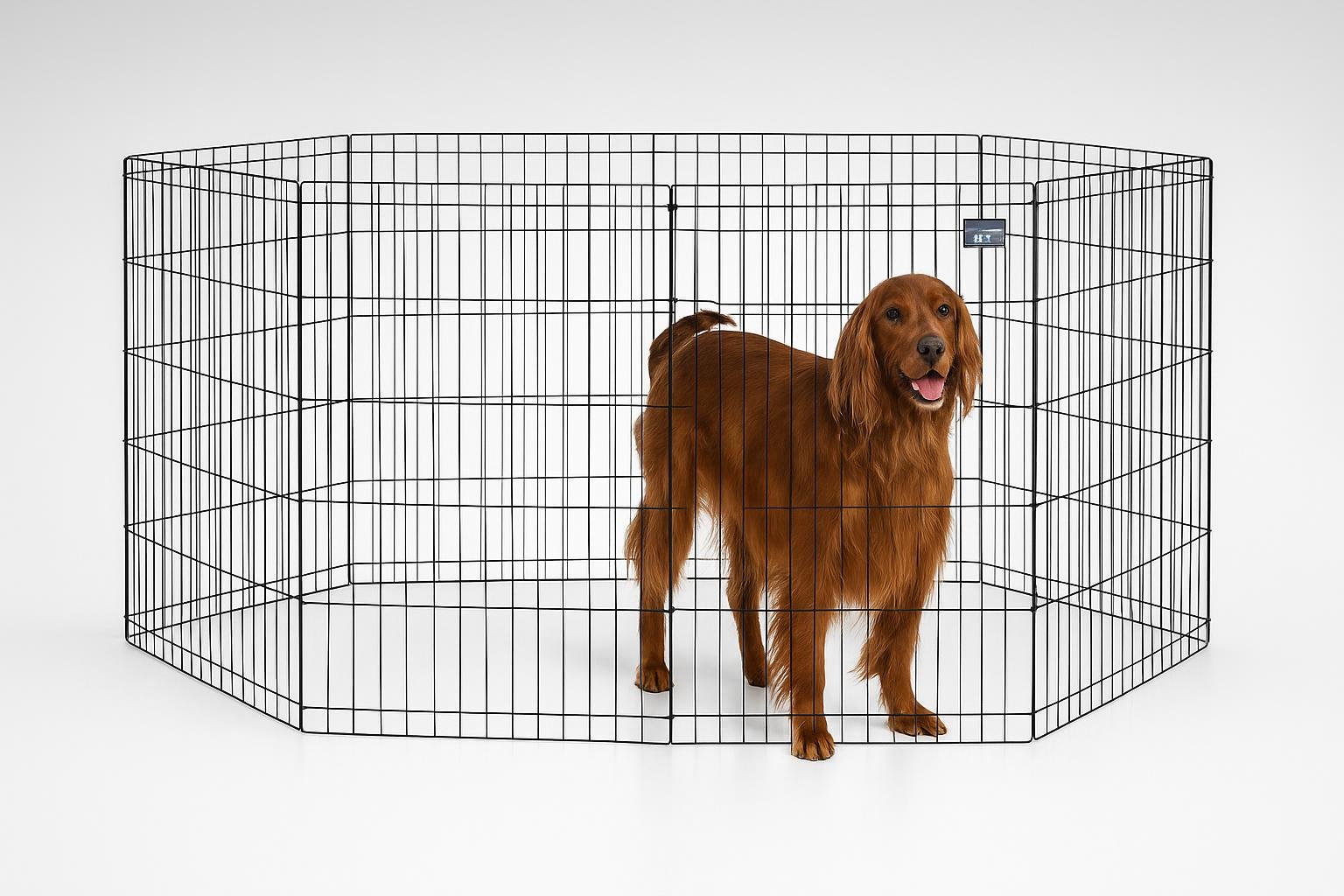 Recinto pieghevole MidWest Homes for Pets, area gioco versatile per cuccioli, conigli e piccoli pet