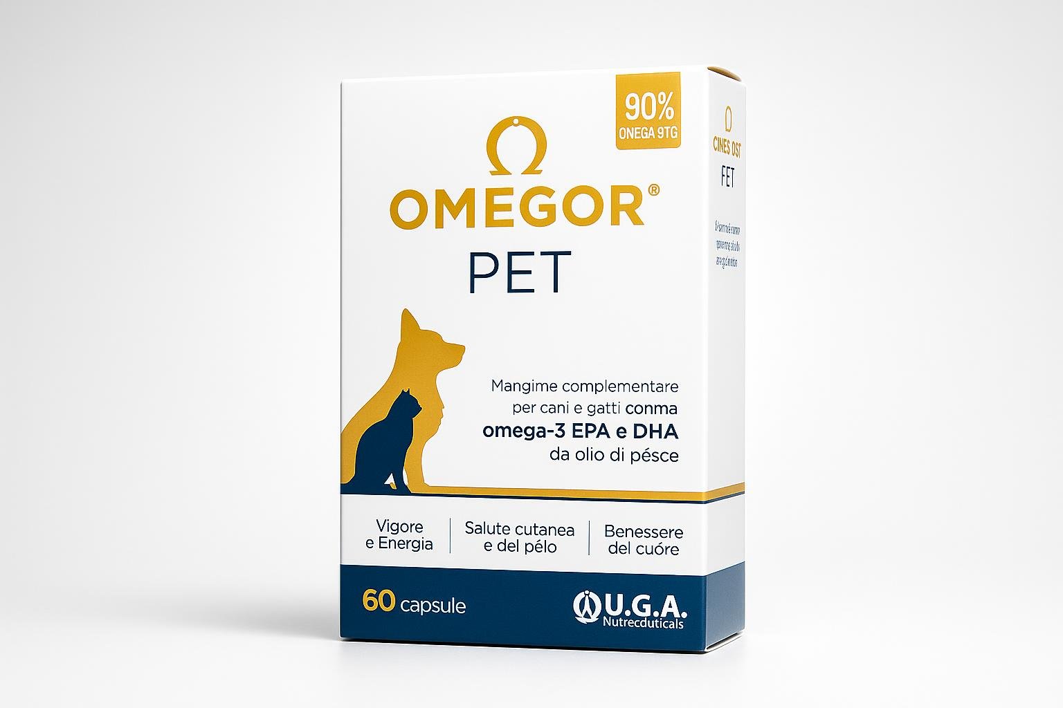 Antinfiammatori naturali nella dieta di cani e gatti: quando curcuma, omega 3 e piante hanno senso (solo col veterinario)