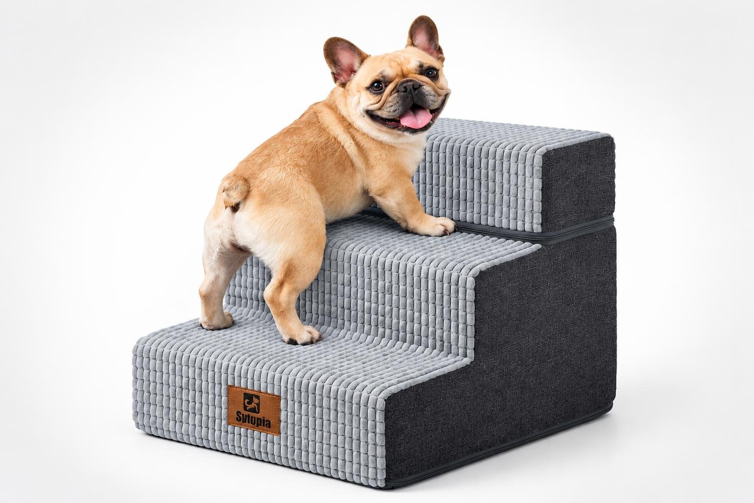 Scaletta Sytopia a tre gradini per cani piccoli: una soluzione compatta per divano e letto