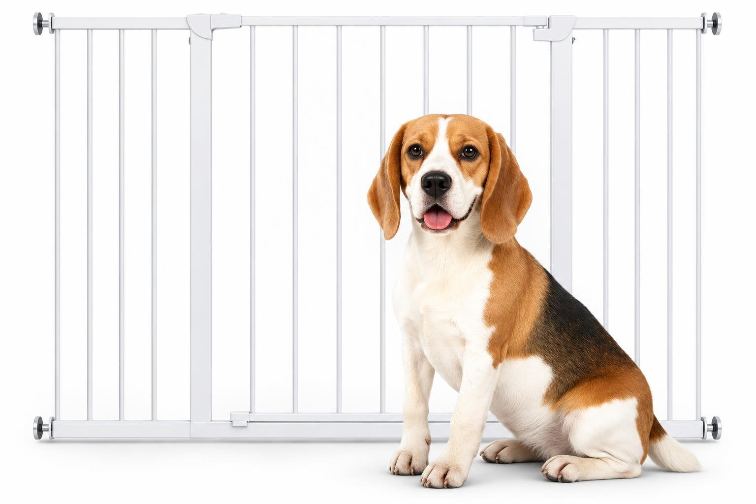 Come scegliere un cancelletto di sicurezza per cani e gatti: misure, fissaggi e passaggi
